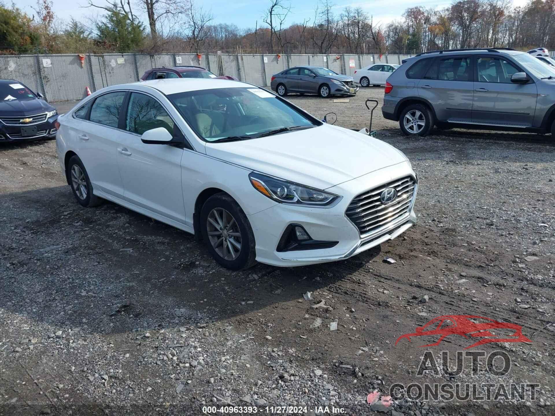 HYUNDAI SONATA 2019 - 5NPE24AF4KH799278