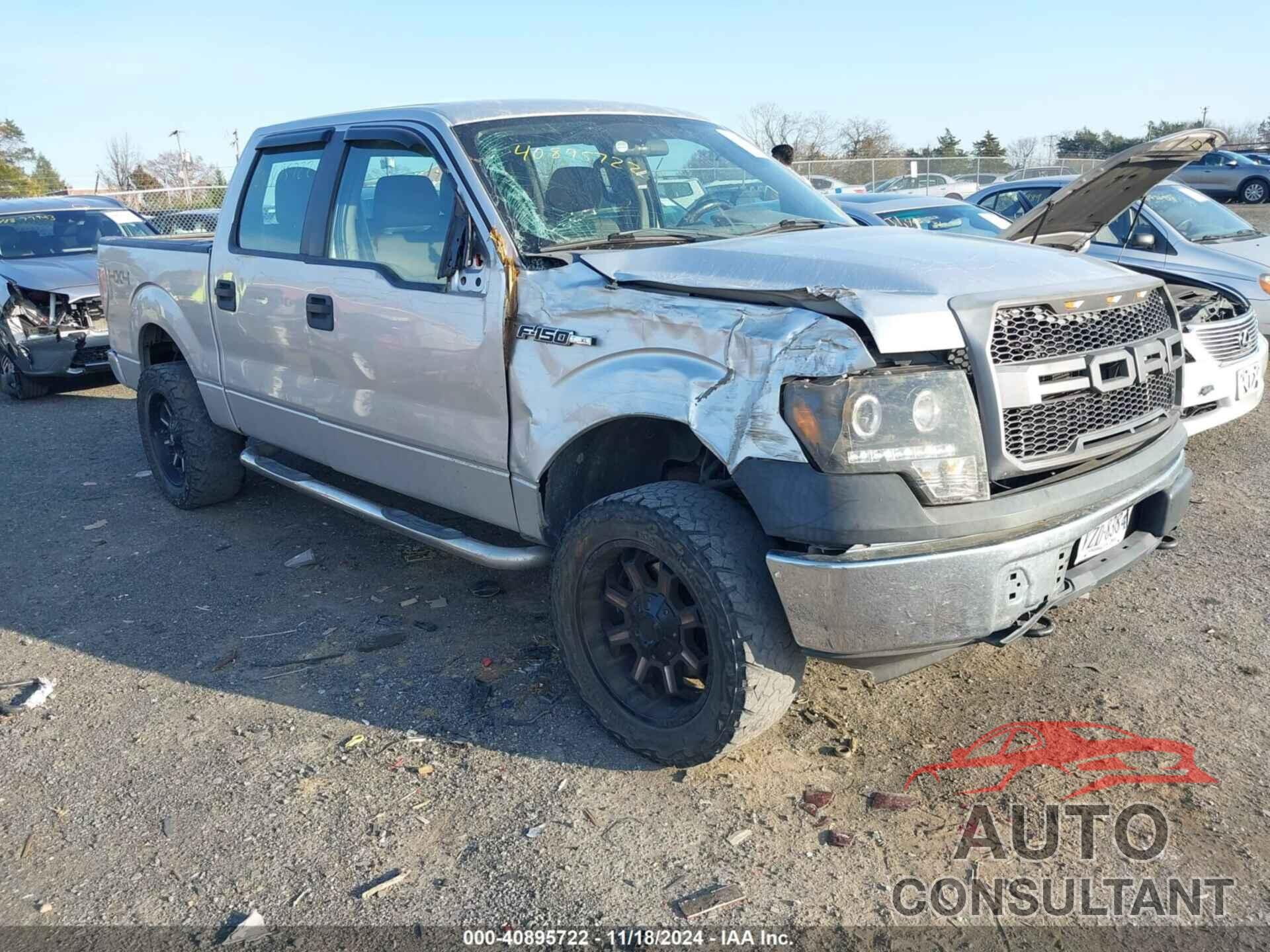 FORD F-150 2010 - 1FTEW1E82AFC82570