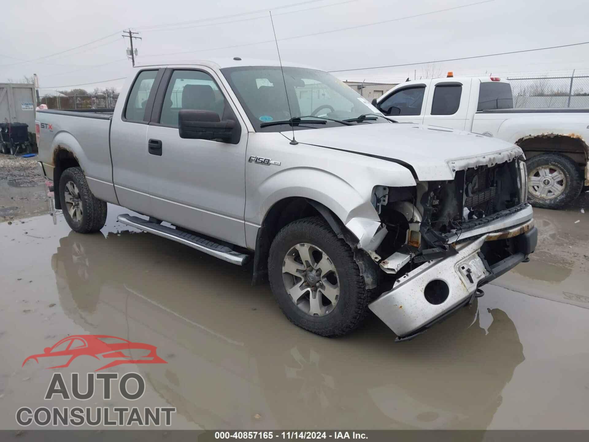 FORD F-150 2013 - 1FTFX1EF7DFD33954