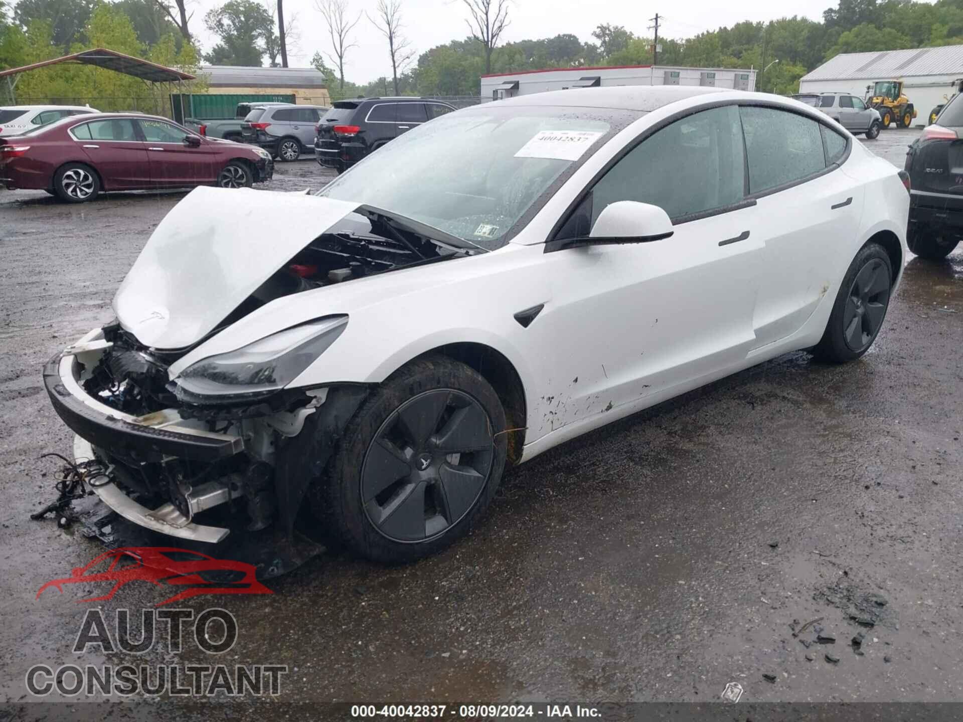 TESLA MODEL 3 2021 - 5YJ3E1EB8MF019627