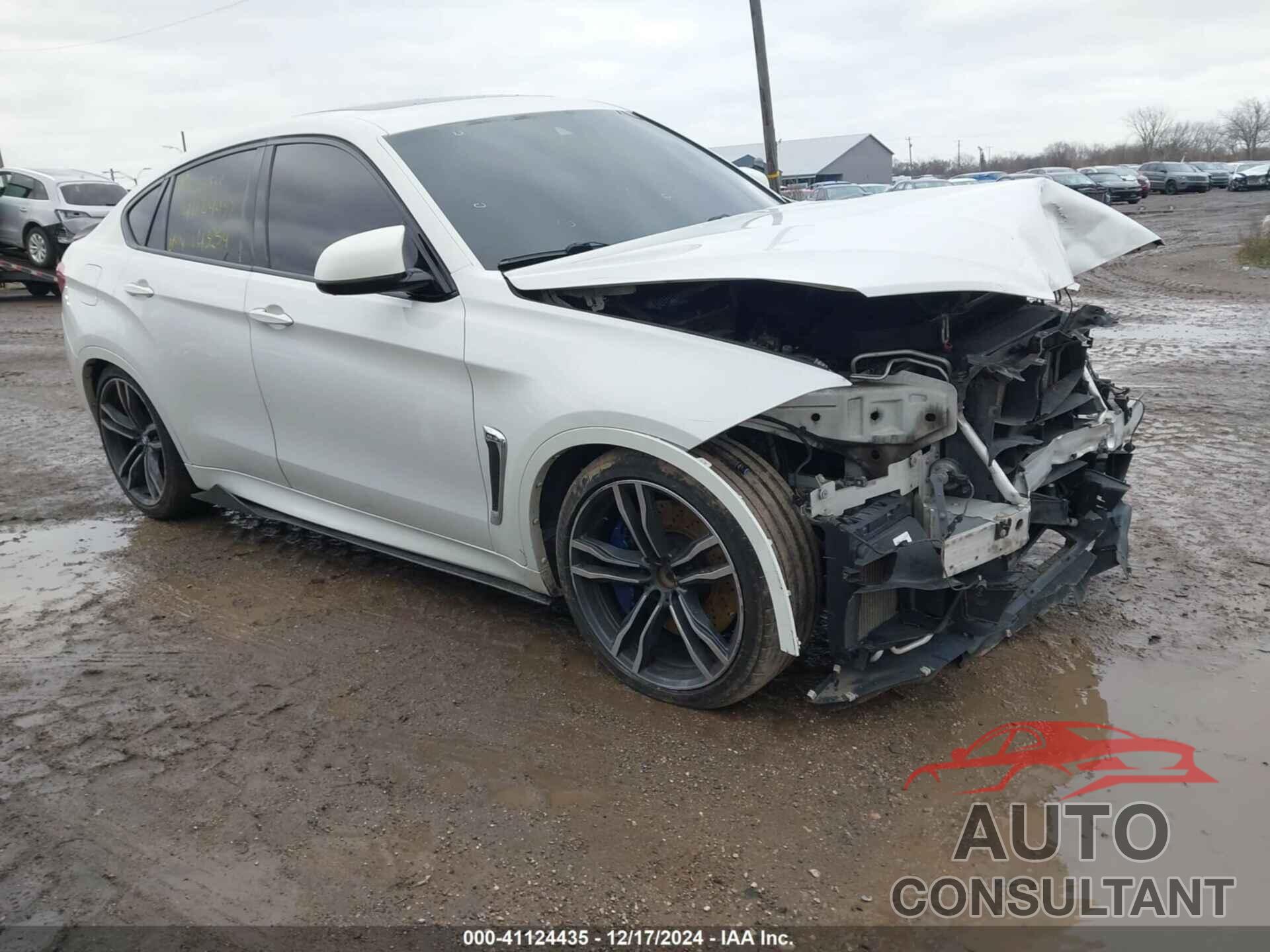 BMW X6 M 2016 - 5YMKW8C51G0R43254