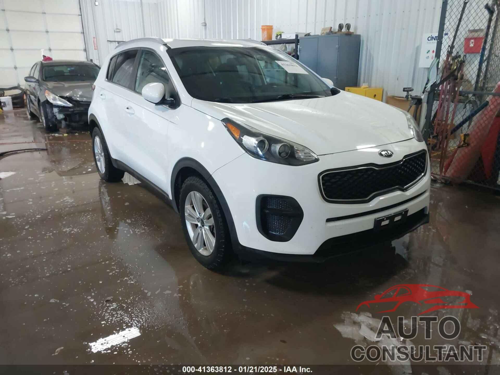 KIA SPORTAGE 2017 - KNDPM3AC5H7156650