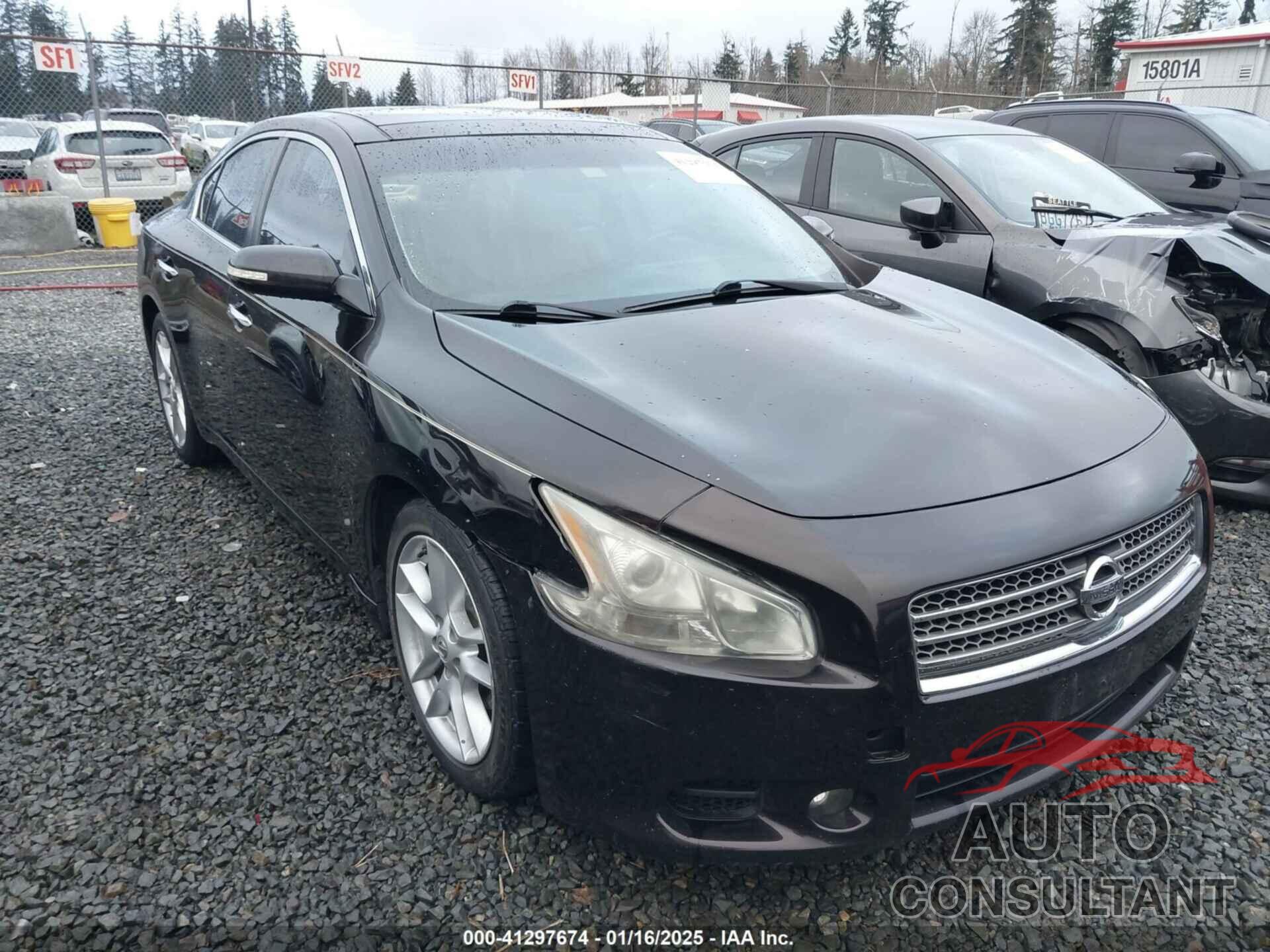 NISSAN MAXIMA 2010 - 1N4AA5AP3AC821738