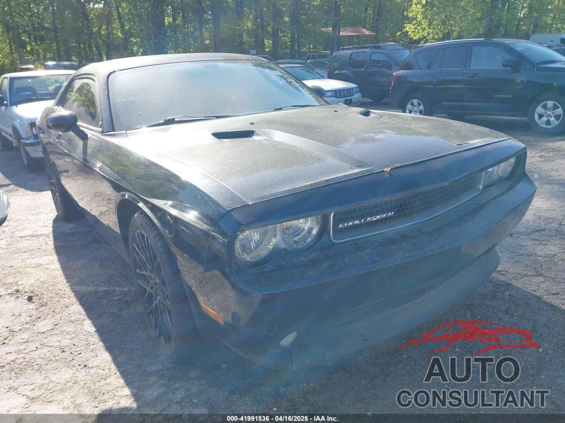 DODGE CHALLENGER 2013 - 2C3CDYAG5DH569945