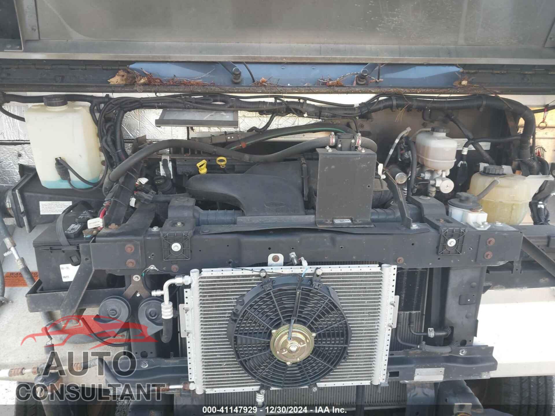 FORD E-450 STRIPPED 2019 - 1FC3E4K63KDC48696