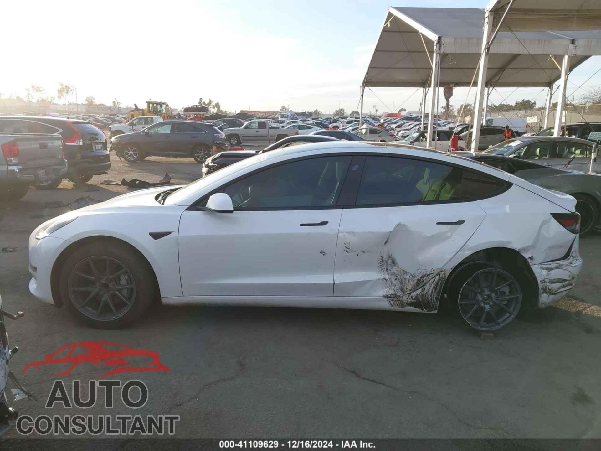 TESLA MODEL 3 2021 - 5YJ3E1EA5MF858898