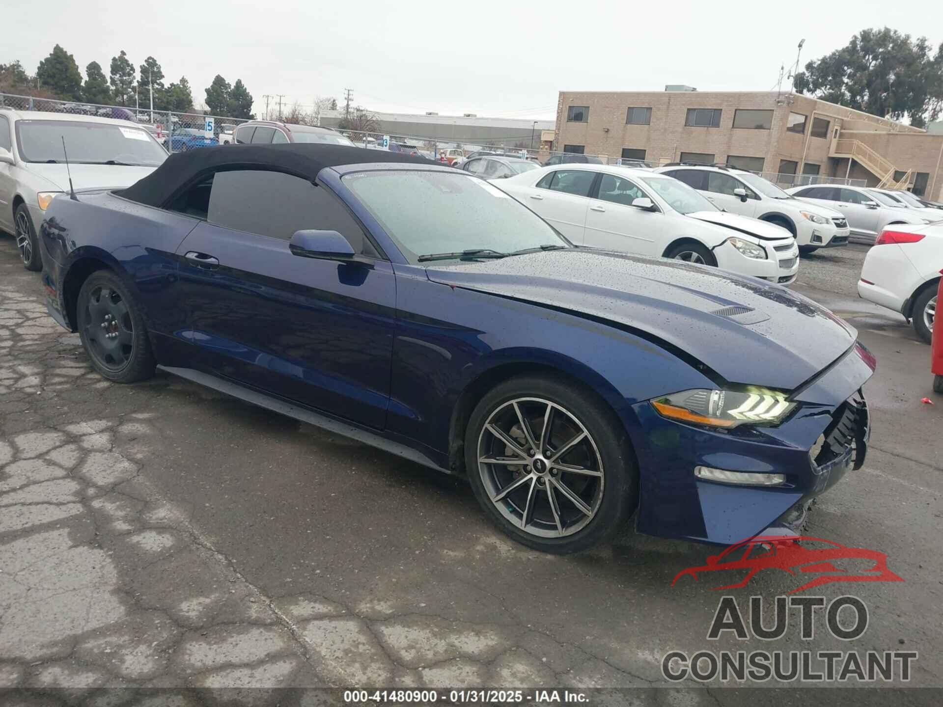 FORD MUSTANG 2019 - 1FATP8UH0K5149818