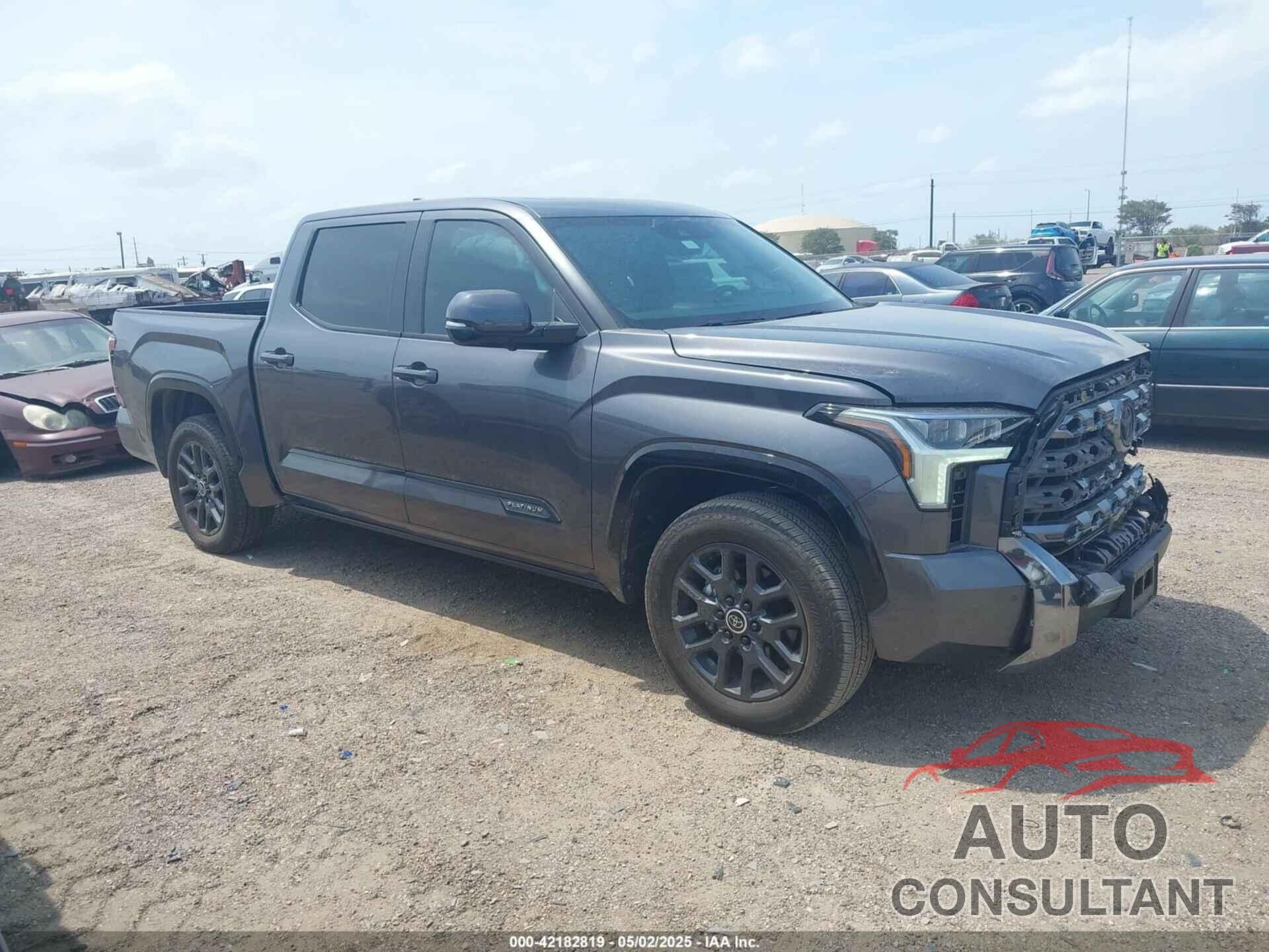 TOYOTA TUNDRA 2024 - 5TFNA5AB6RX034304