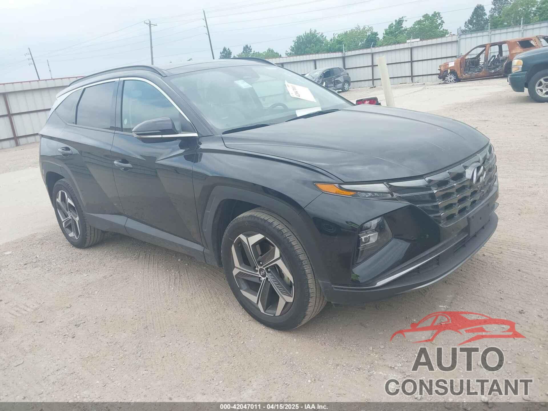HYUNDAI TUCSON 2024 - 5NMJECDE6RH306548