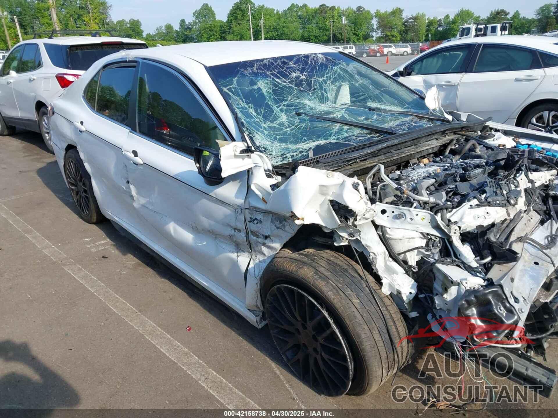 TOYOTA CAMRY 2019 - 4T1B11HK9KU842909