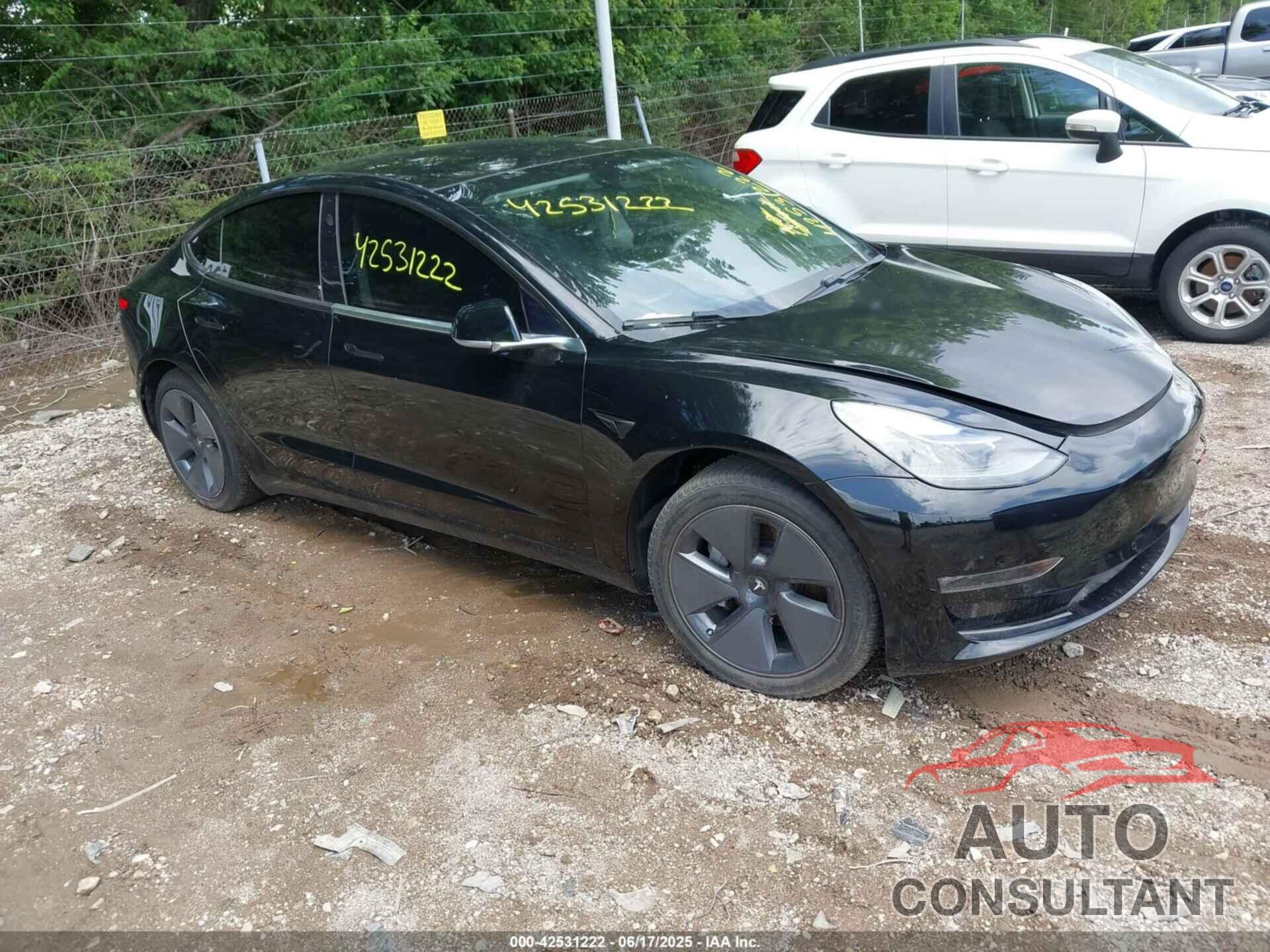 TESLA MODEL 3 2019 - 5YJ3E1EA0KF361870