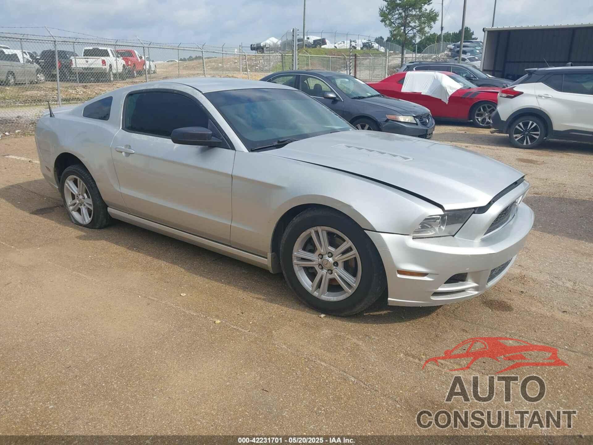 FORD MUSTANG 2014 - 1ZVBP8AMXE5297192