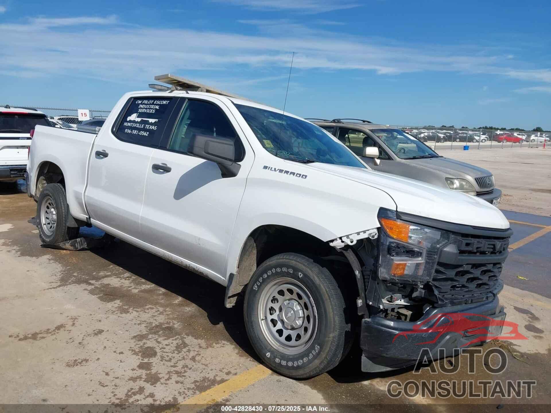 CHEVROLET SILVERADO 1500 2023 - 1GCPAAEK9PZ179690