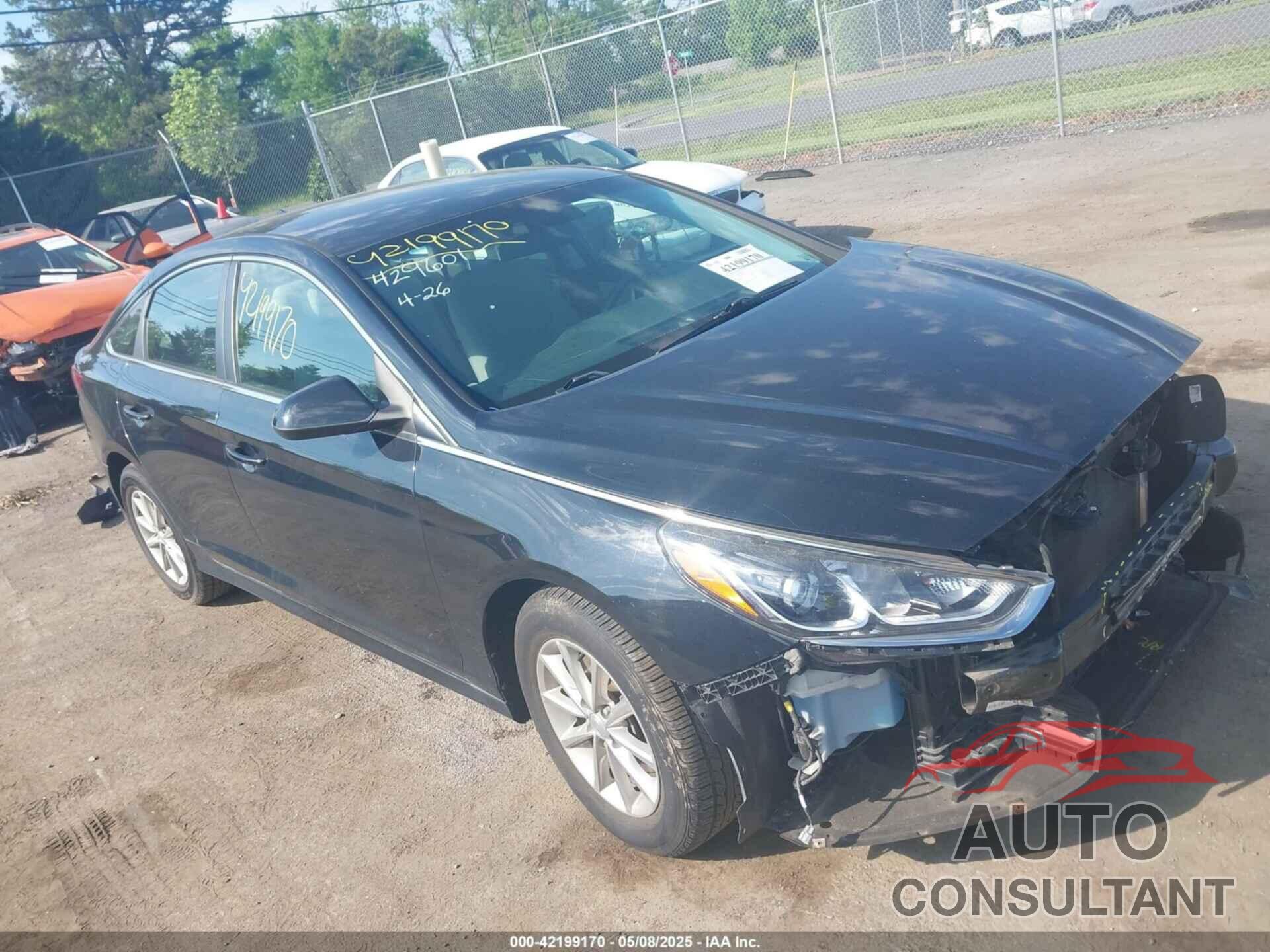 HYUNDAI SONATA 2019 - 5NPE24AF8KH790521