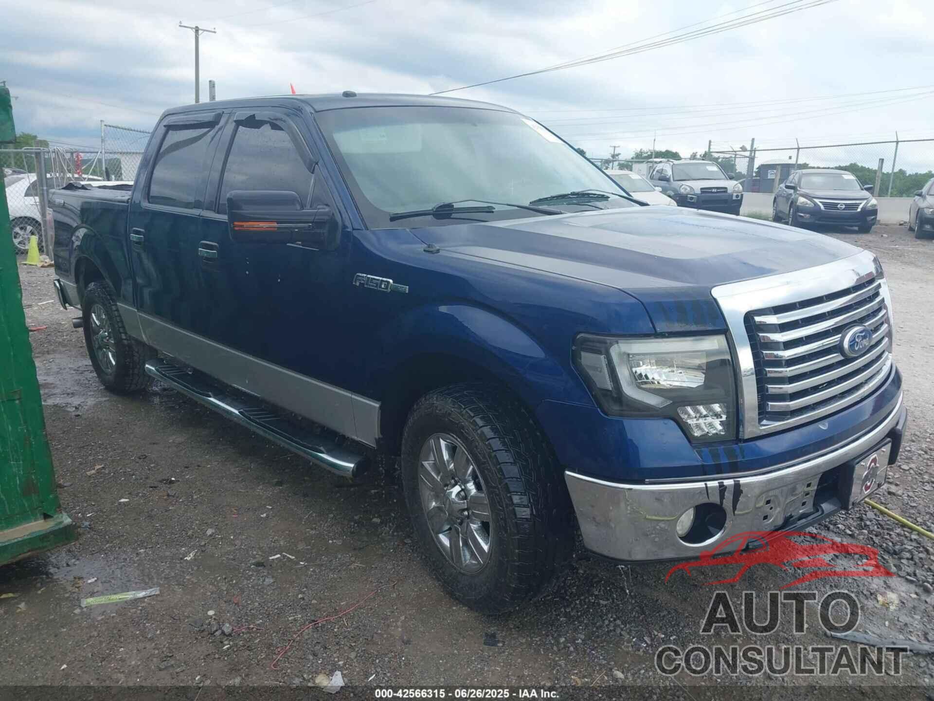 FORD F-150 2010 - 1FTEW1C80AKE70191