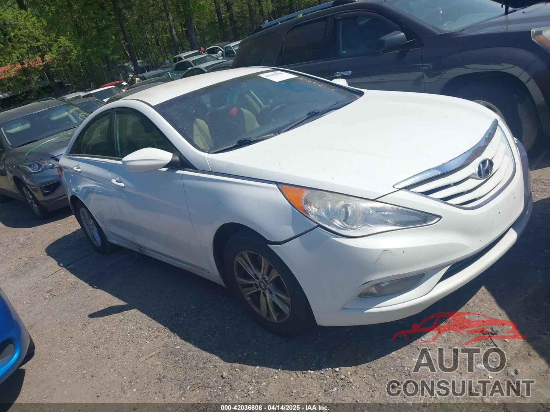 HYUNDAI SONATA 2013 - 5NPEB4AC5DH766296