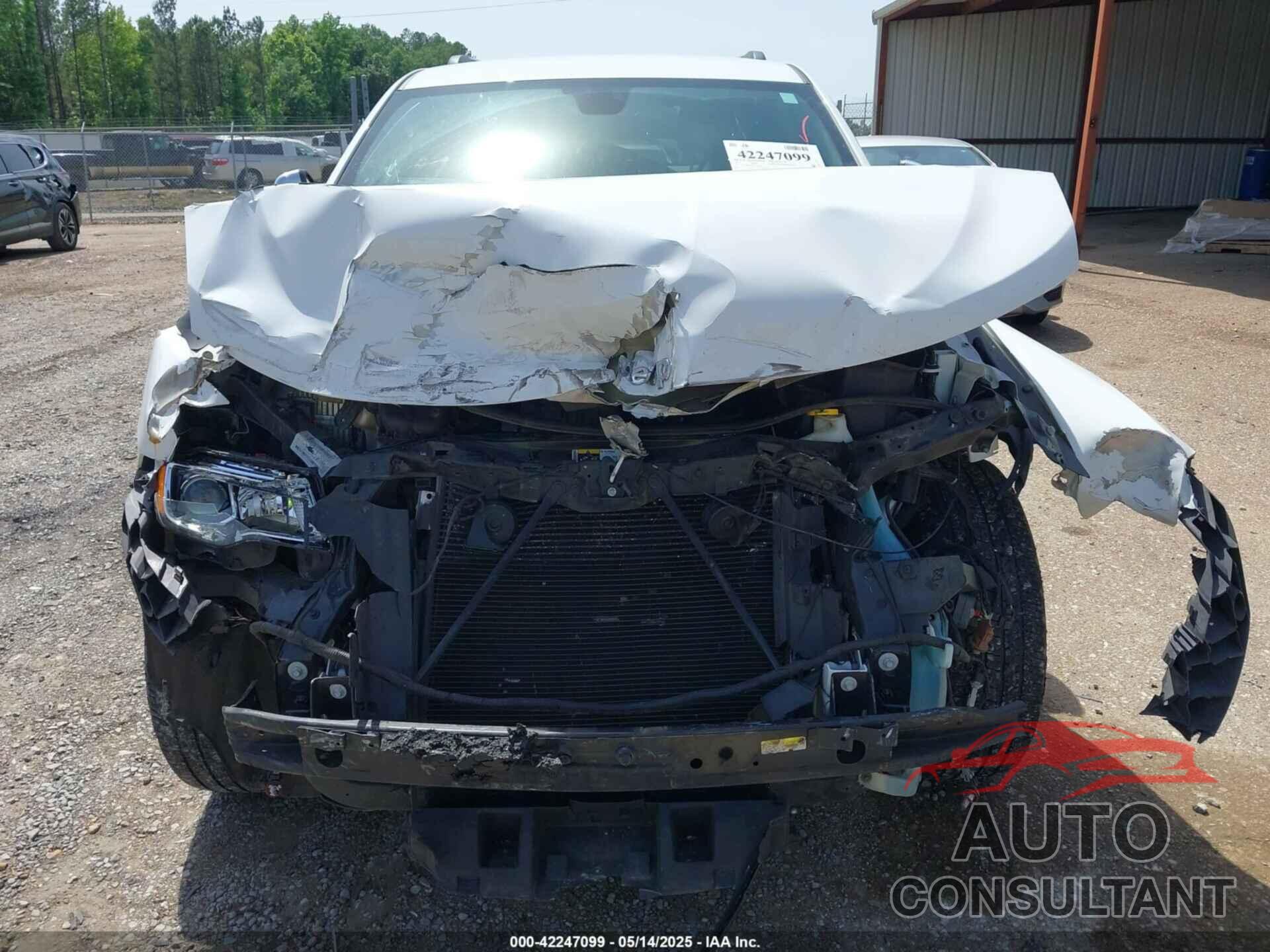 JEEP GRAND CHEROKEE 2019 - 1C4RJEBG8KC572978