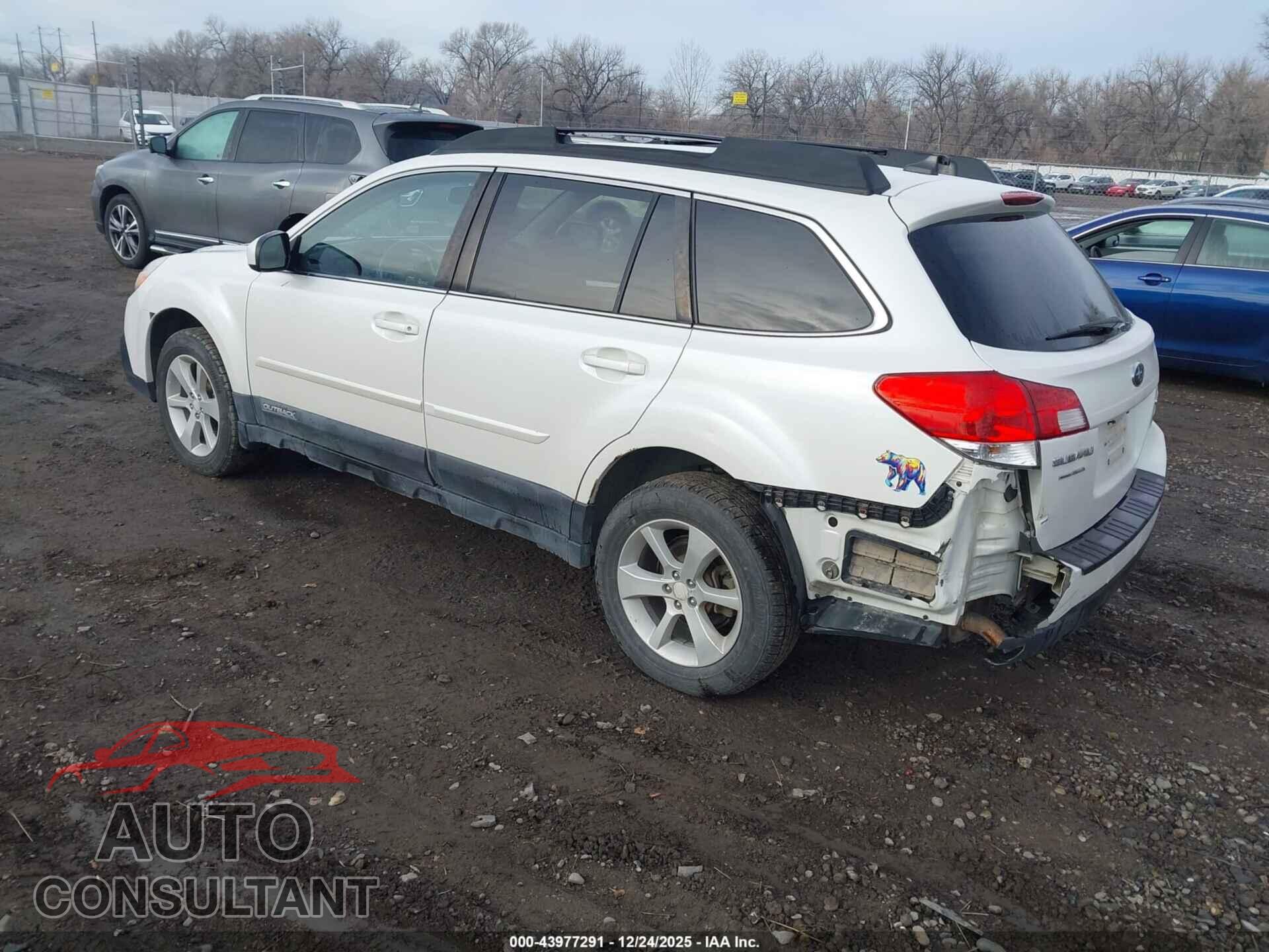 SUBARU OUTBACK 2014 - 4S4BRBDC1E3202300