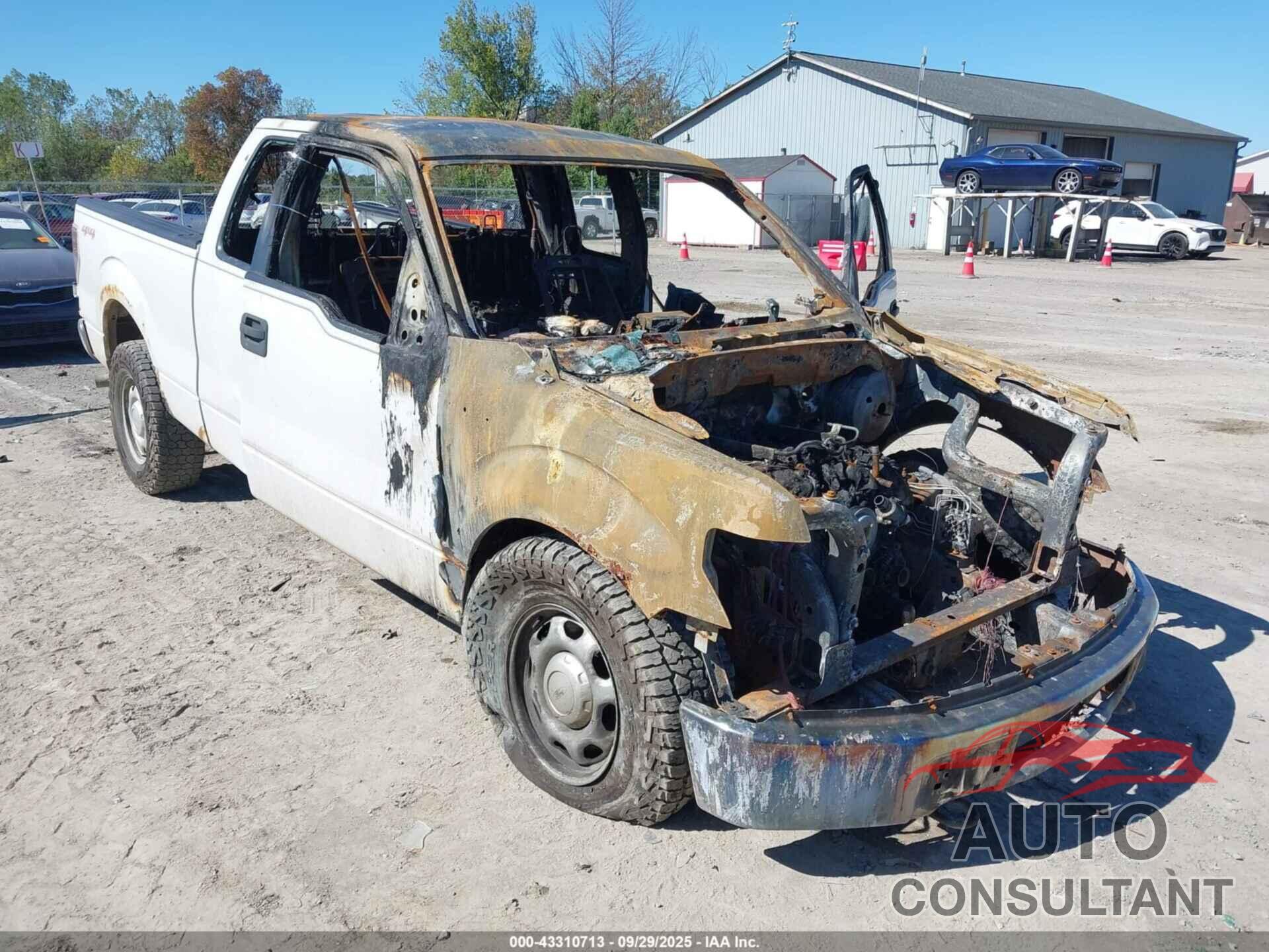 FORD F-150 2014 - 1FTFX1EF9EFB45308