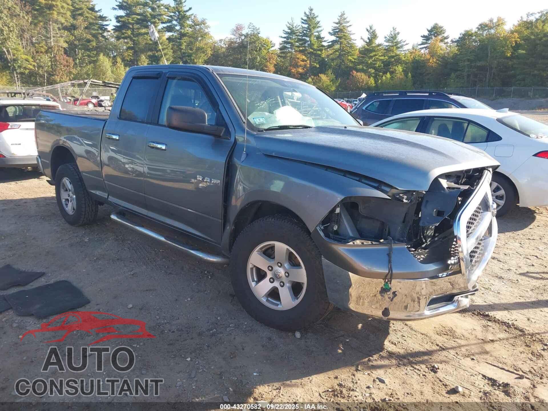 DODGE RAM 1500 2010 - 1D7RB1GP0AS119396