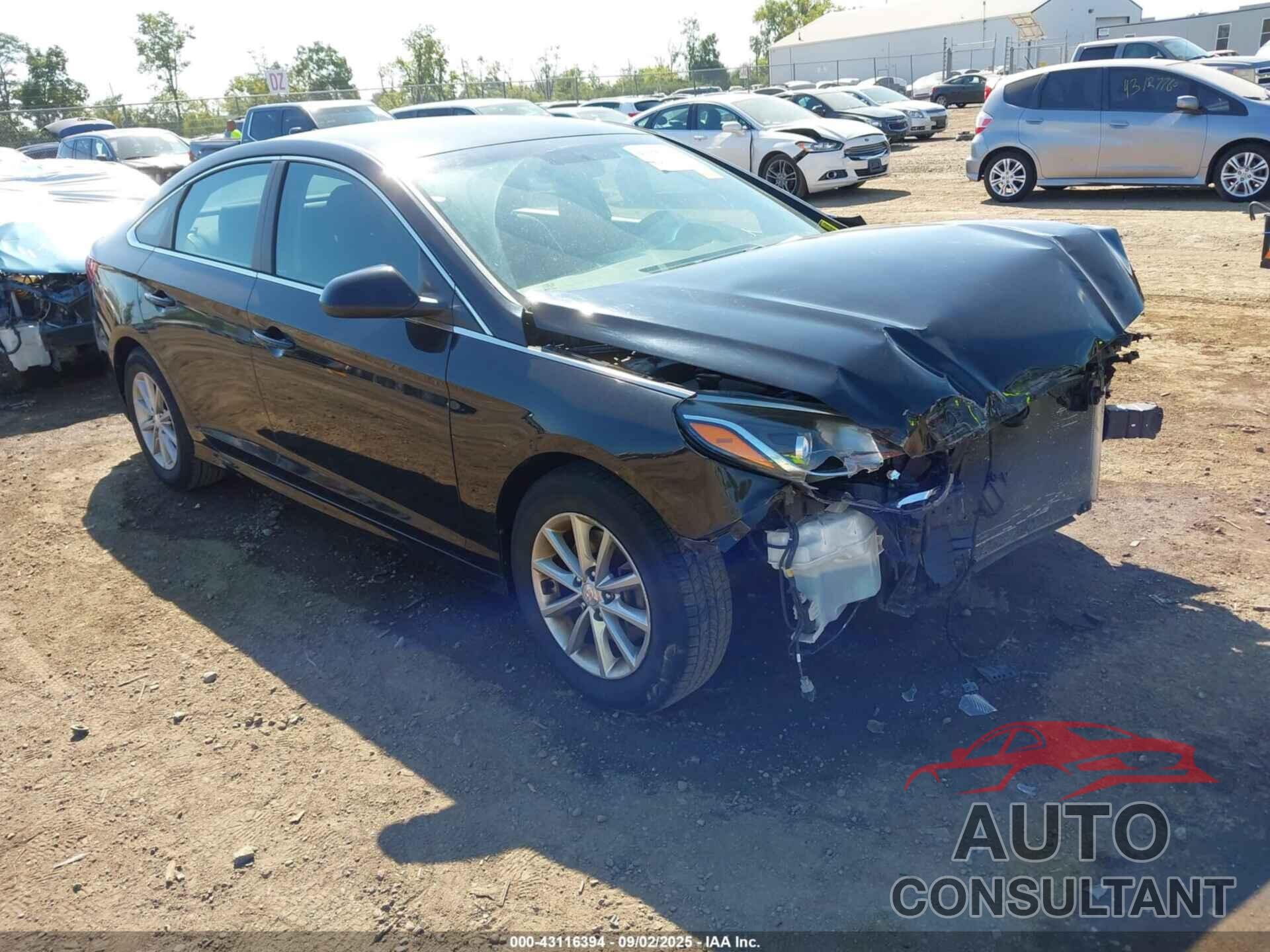 HYUNDAI SONATA 2018 - 5NPE24AF4JH688096