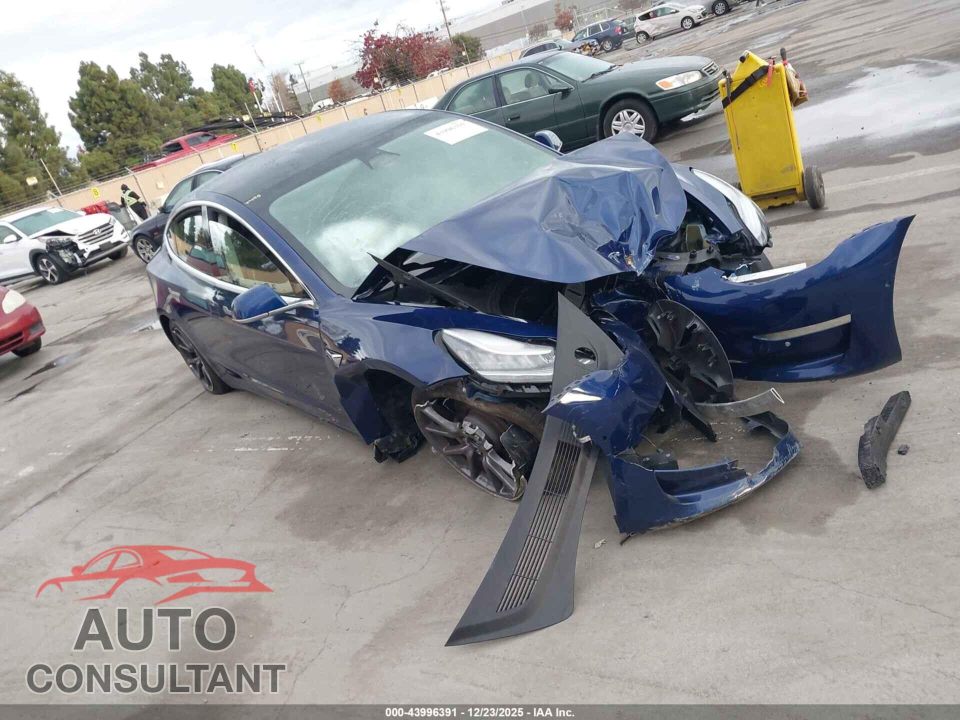 TESLA MODEL 3 2019 - 5YJ3E1EA2KF299534