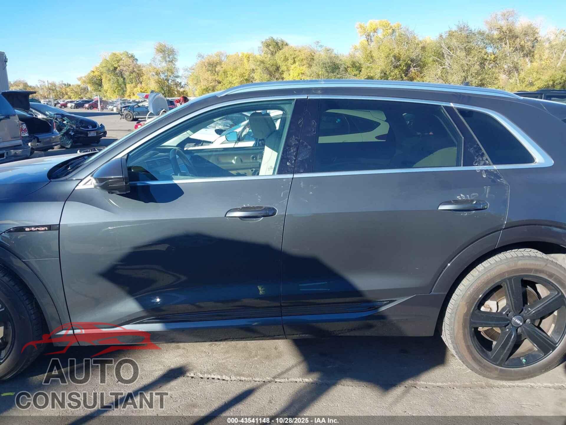 AUDI E-TRON 2019 - WA1LAAGE8KB010374