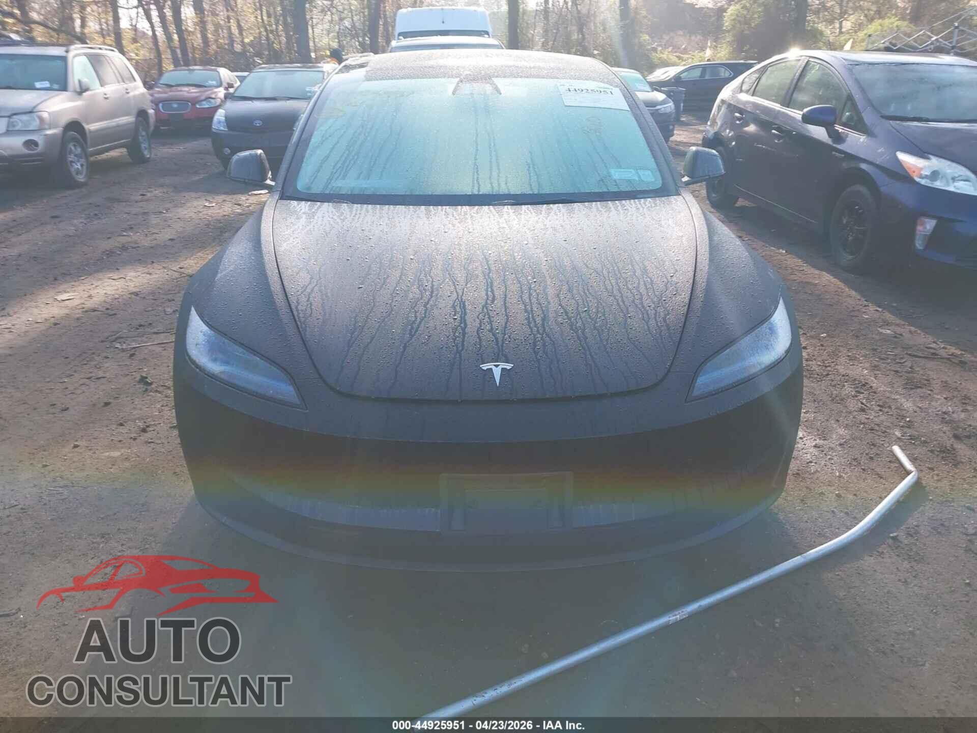 TESLA MODEL 3 2024 - 5YJ3E1EA5RF767041