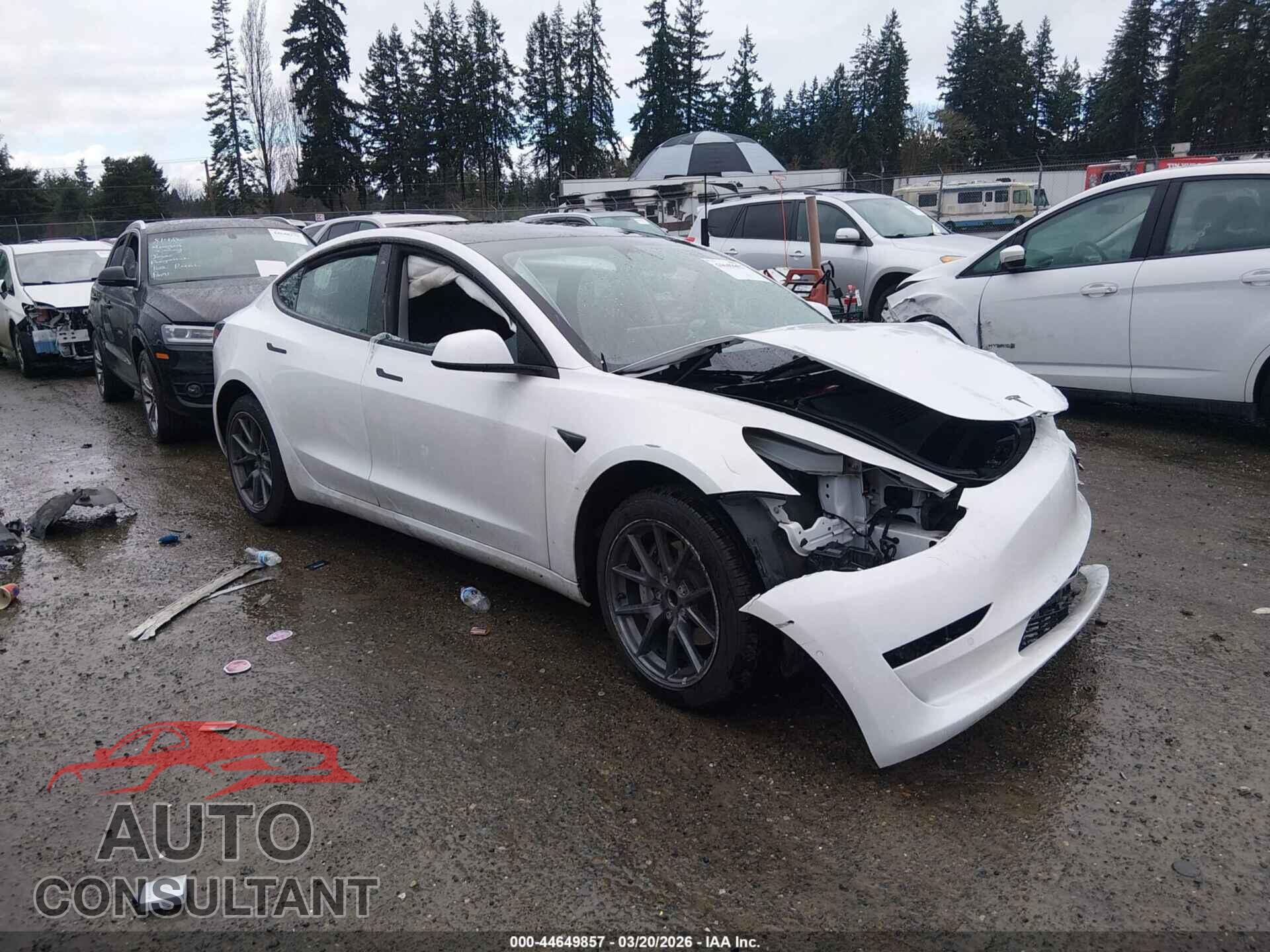 TESLA MODEL 3 2021 - 5YJ3E1EA2MF100467