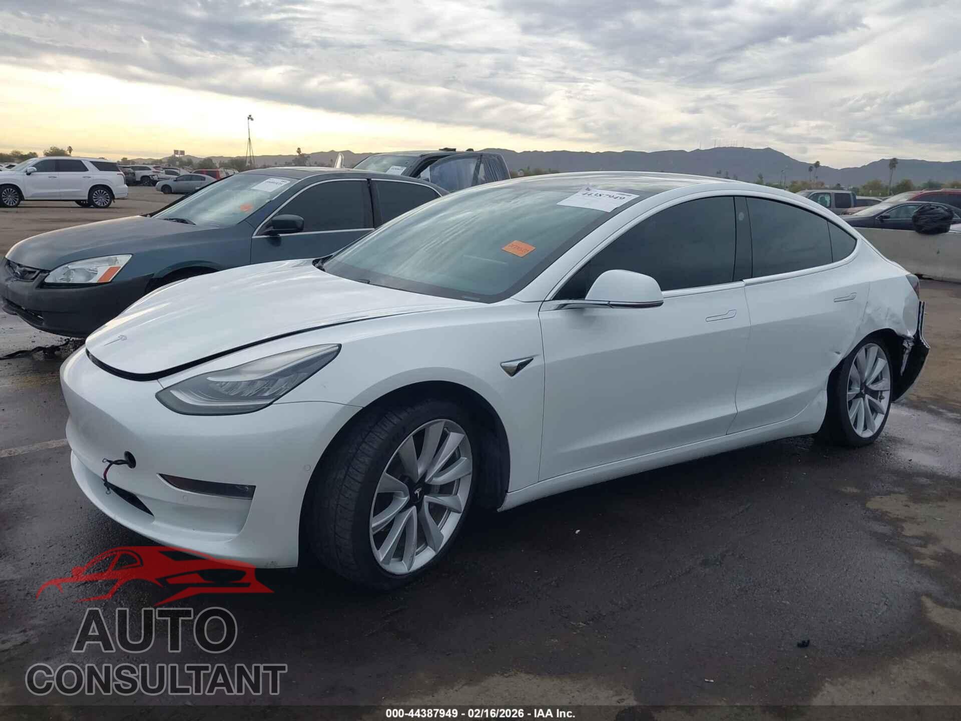 TESLA MODEL 3 2019 - 5YJ3E1EB9KF434128