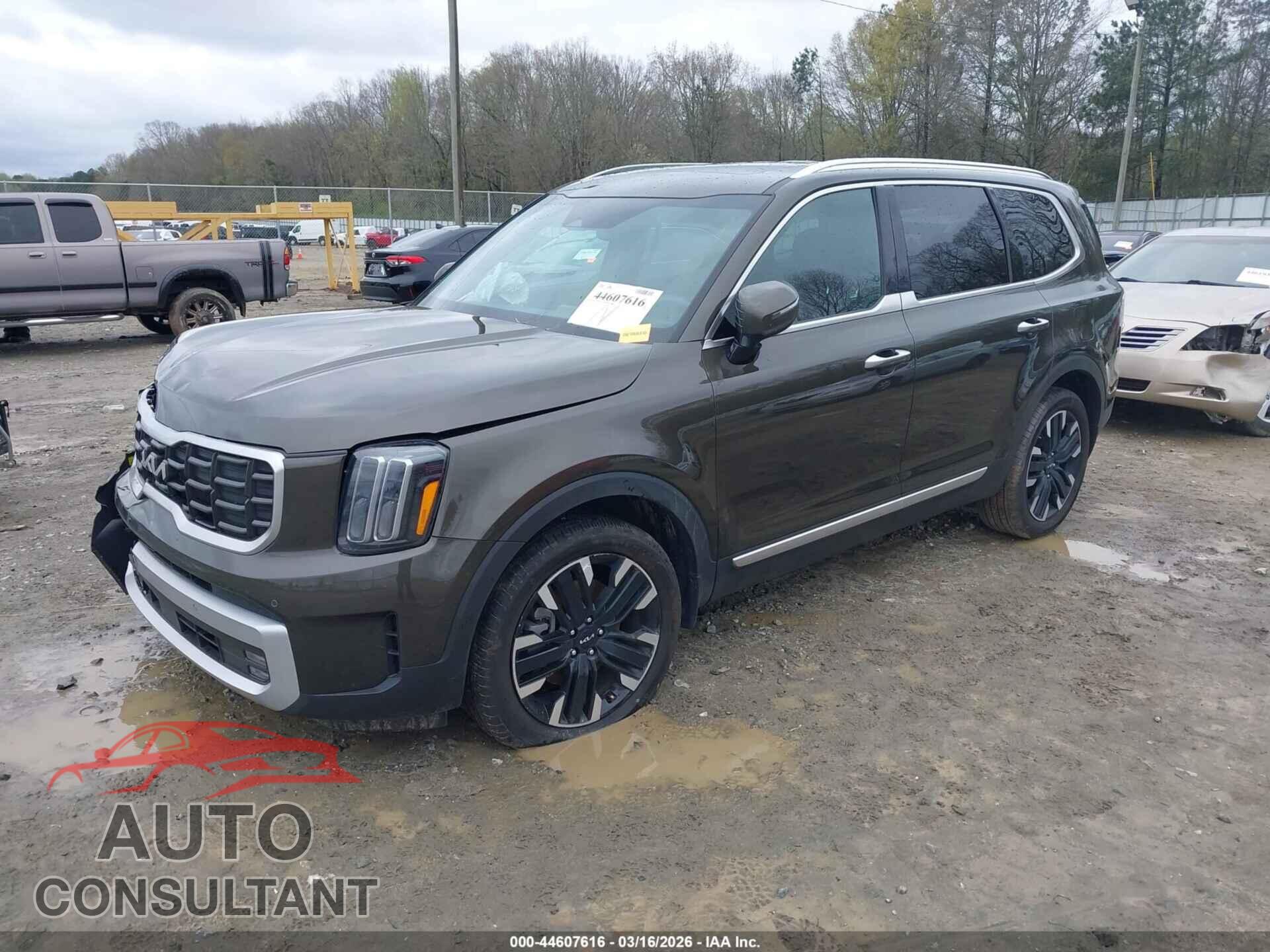 KIA TELLURIDE 2024 - 5XYP5DGC2RG461683