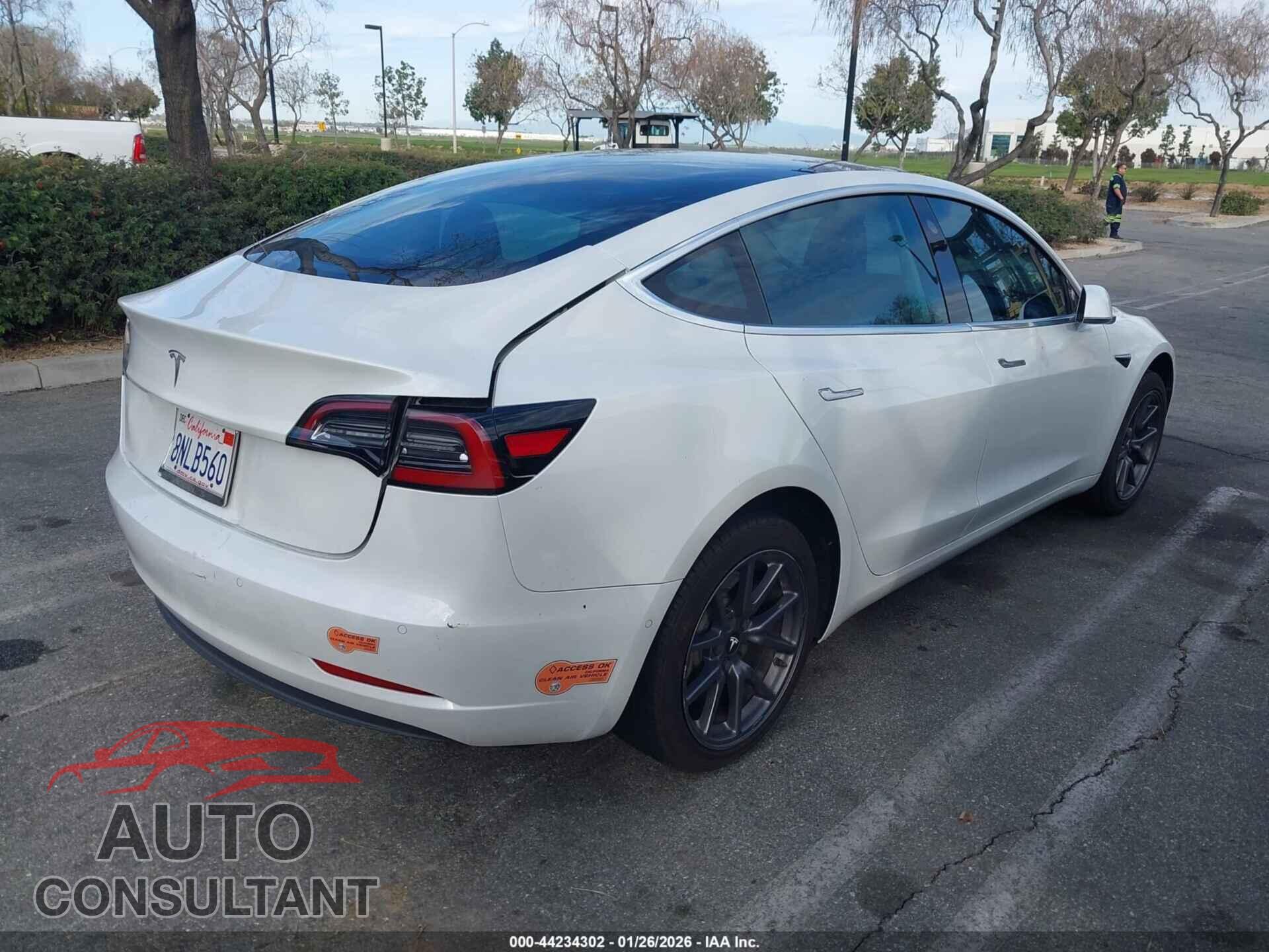 TESLA MODEL 3 2020 - 5YJ3E1EA1LF613787