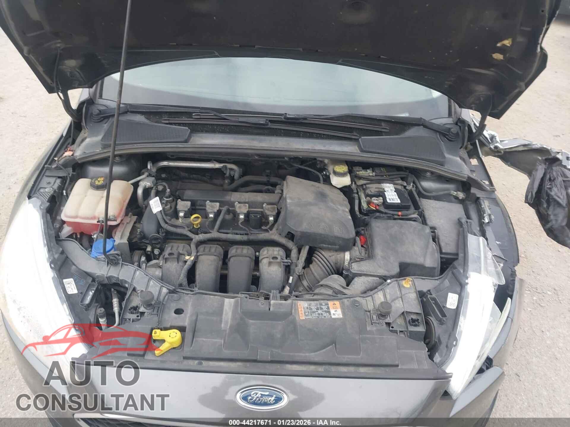 FORD FOCUS 2017 - 1FADP3K23HL295690