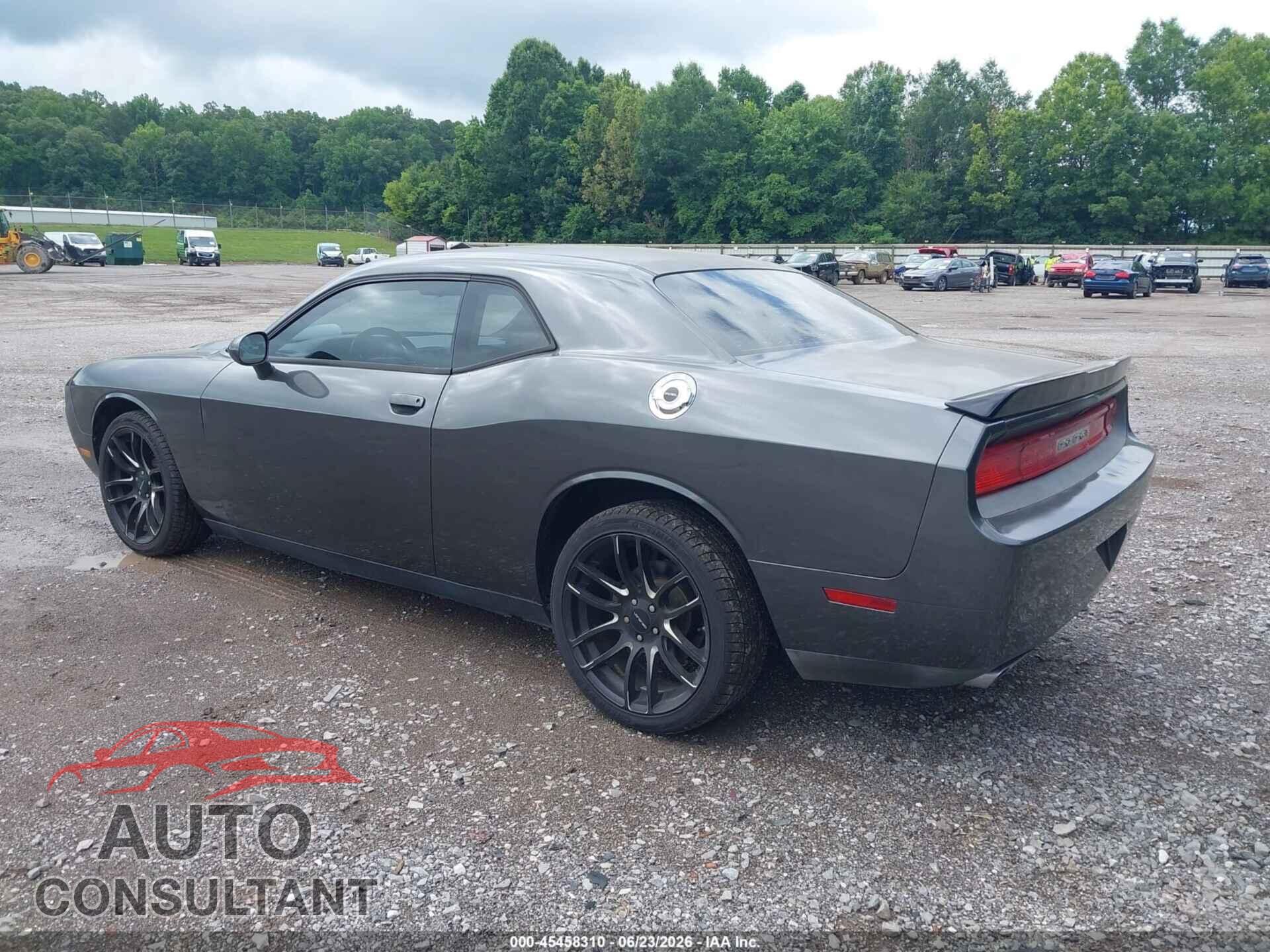 DODGE CHALLENGER 2013 - 2C3CDYAG3DH592897