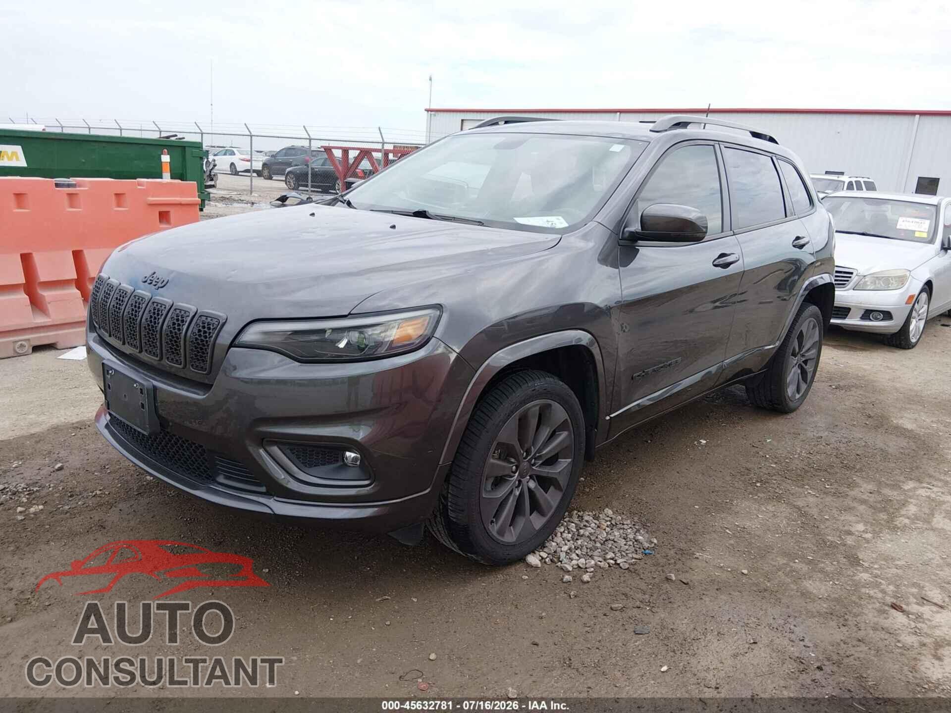 JEEP CHEROKEE 2019 - 1C4PJMDX1KD457003