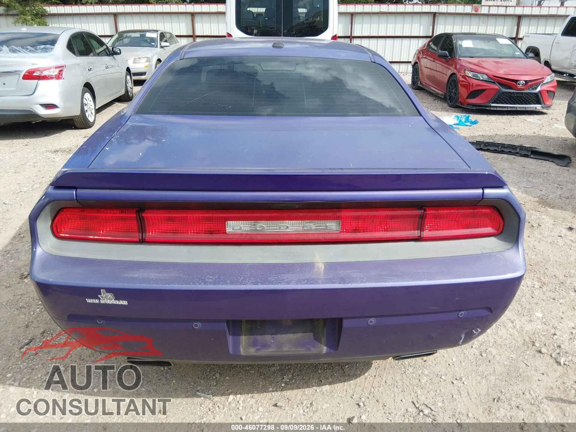 DODGE CHALLENGER 2013 - 2C3CDYBT2DH671859