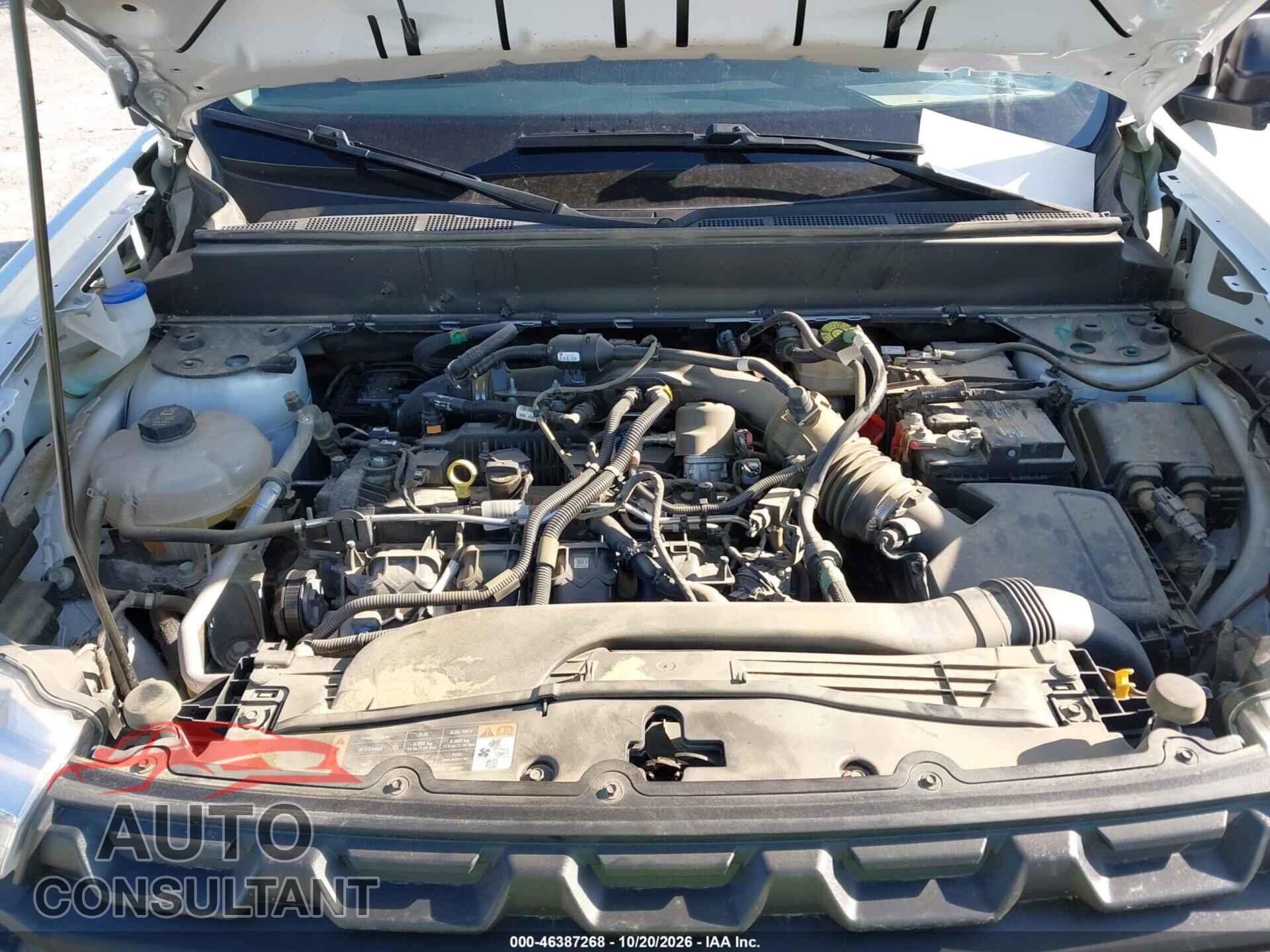 FORD MAVERICK 2024 - 3FTTW8A99RRB58745