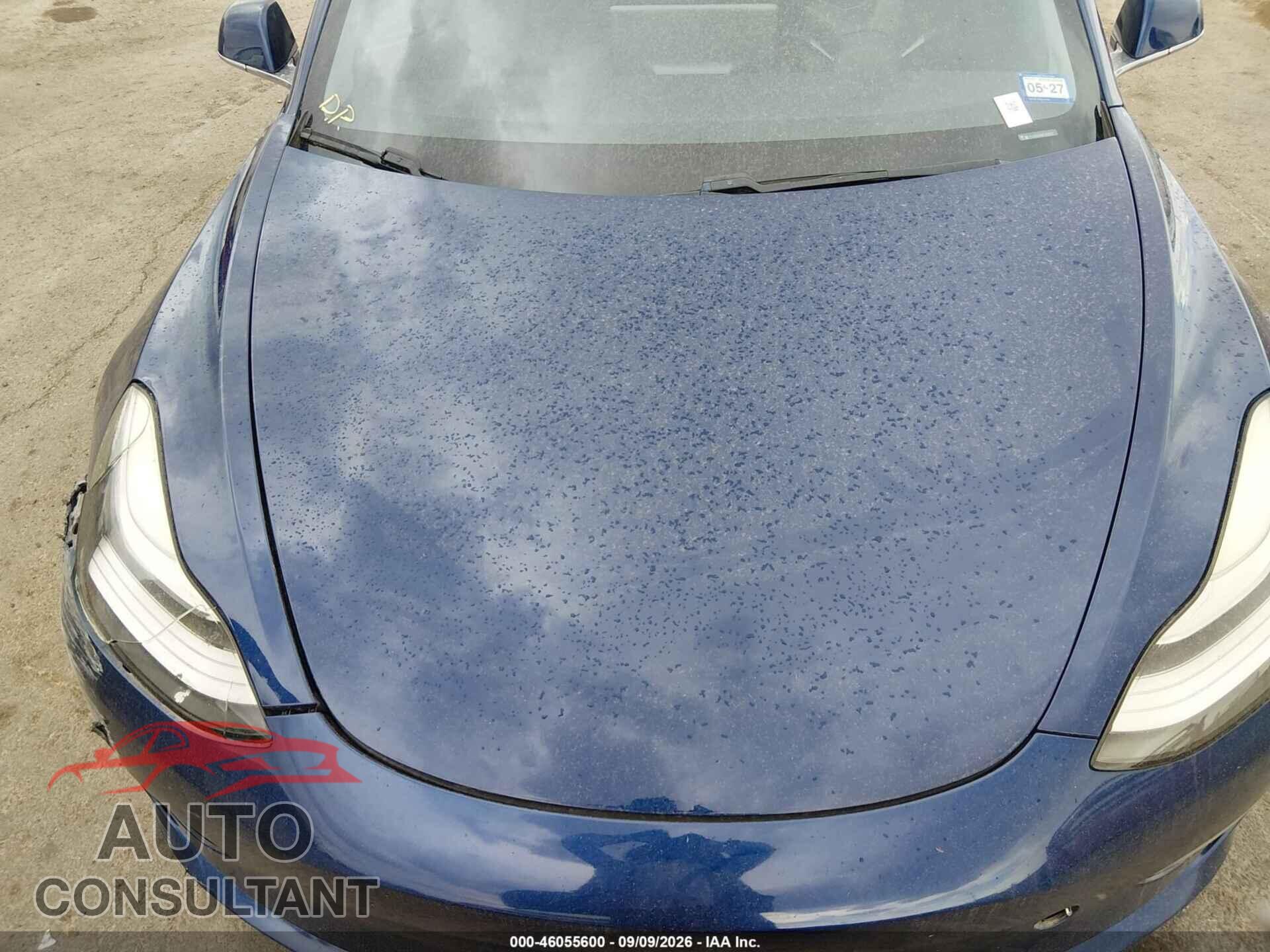 TESLA MODEL 3 2019 - 5YJ3E1EA9KF313820
