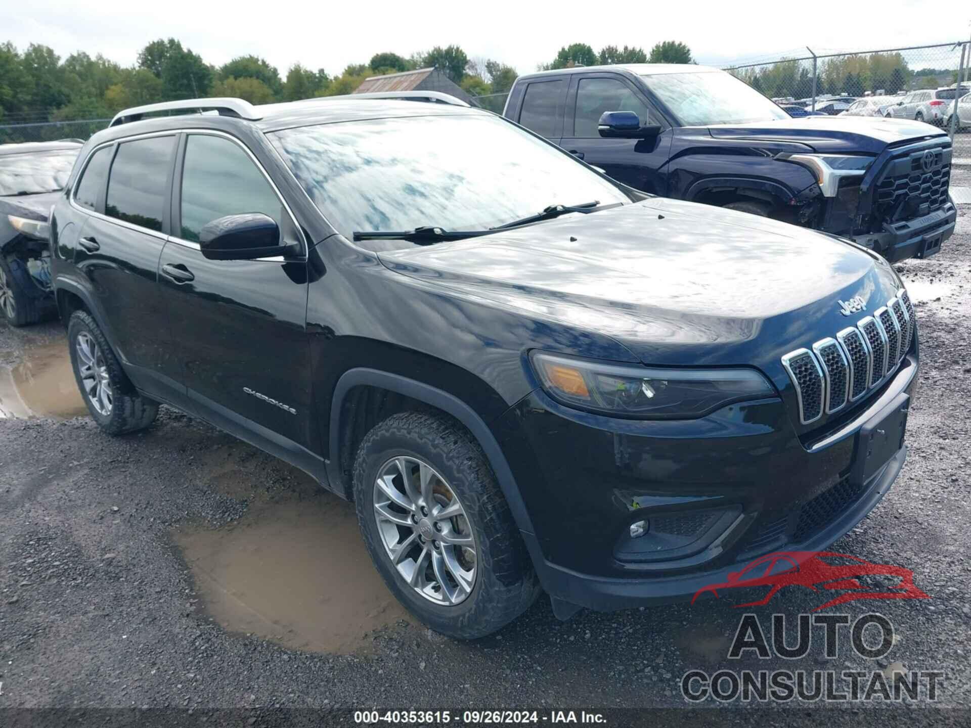 JEEP CHEROKEE 2019 - 1C4PJMLB6KD191175