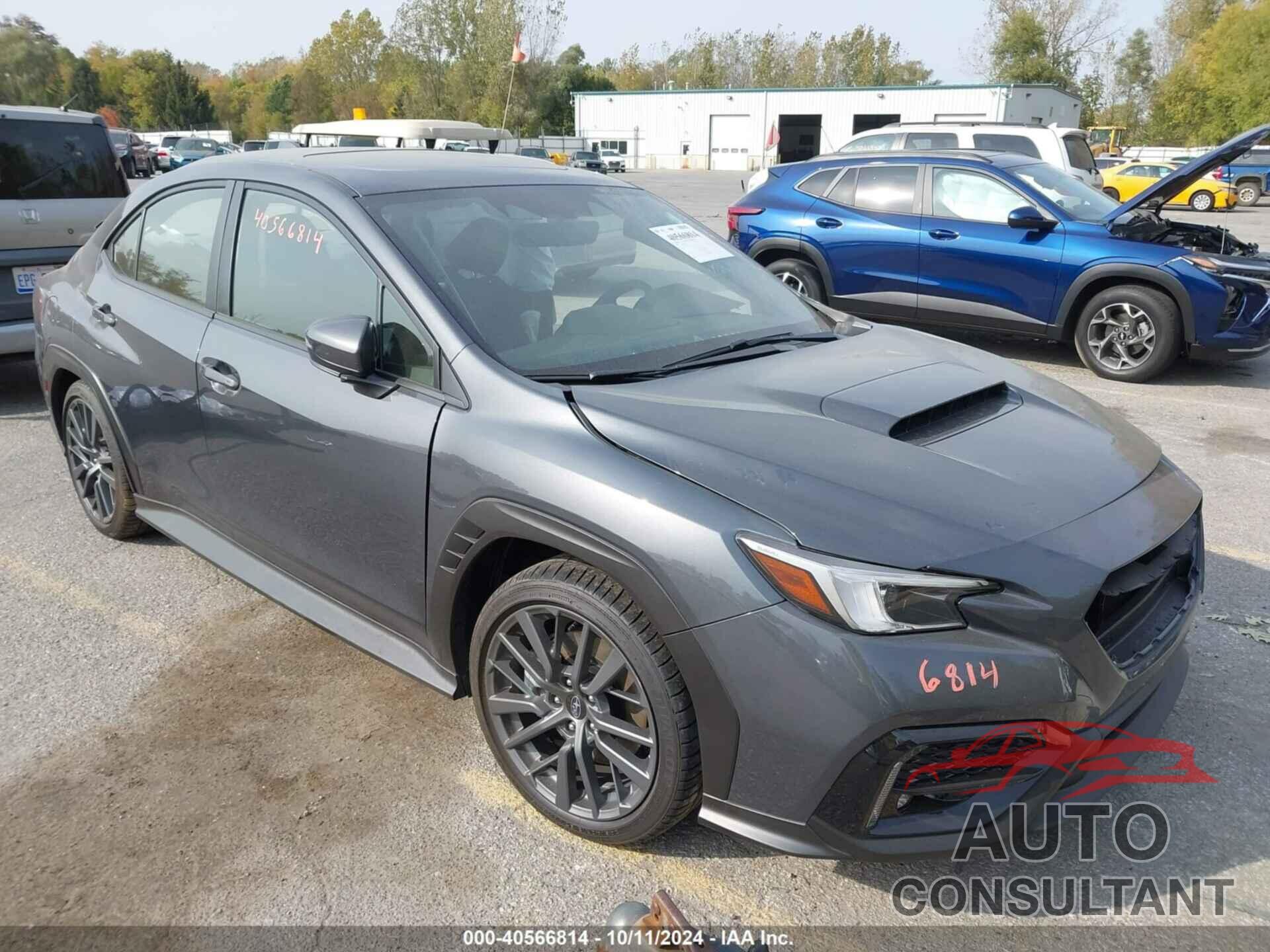 SUBARU WRX 2024 - JF1VBAU64R8800986