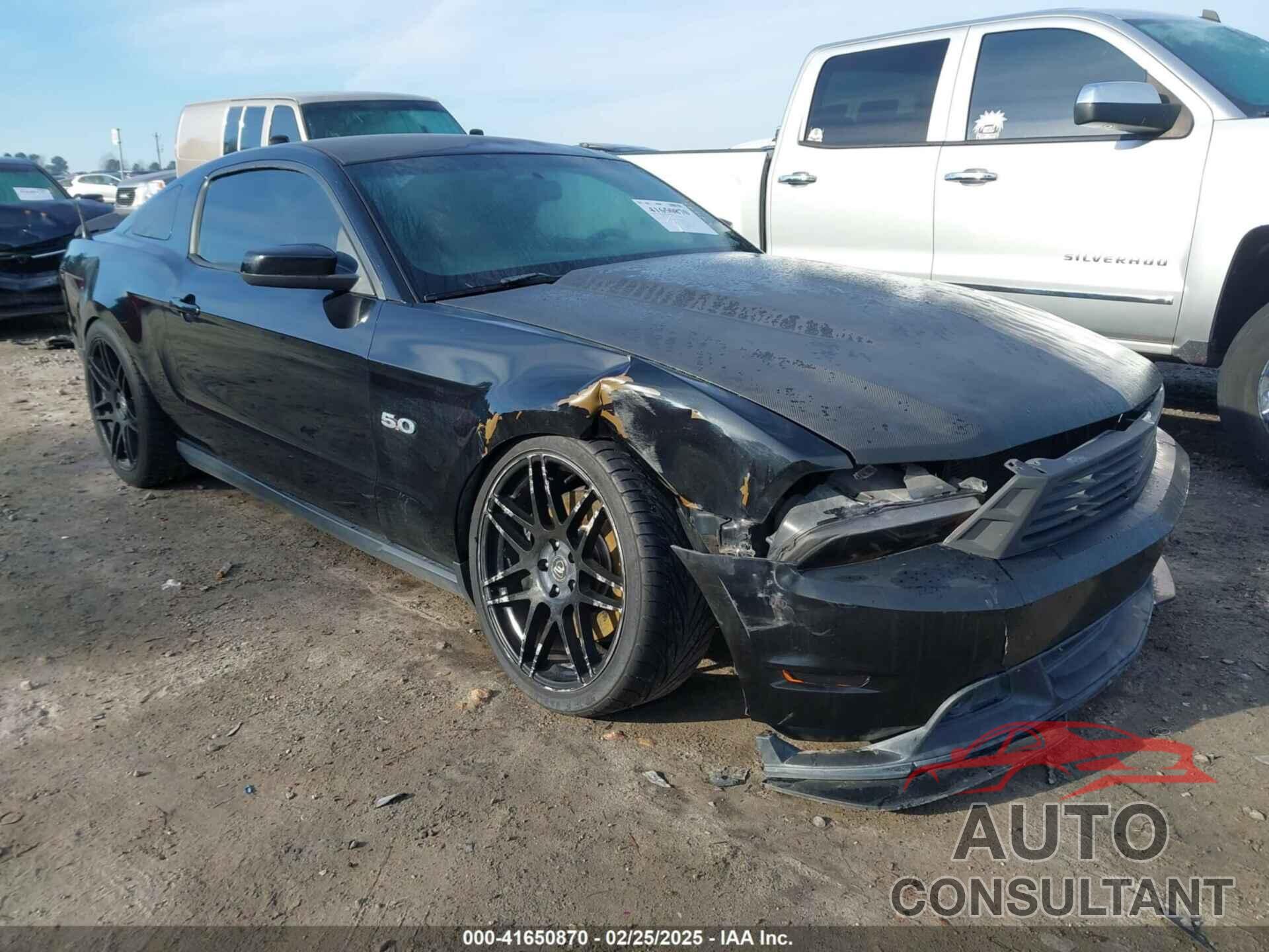 FORD MUSTANG 2011 - 1ZVBP8CF3B5168060