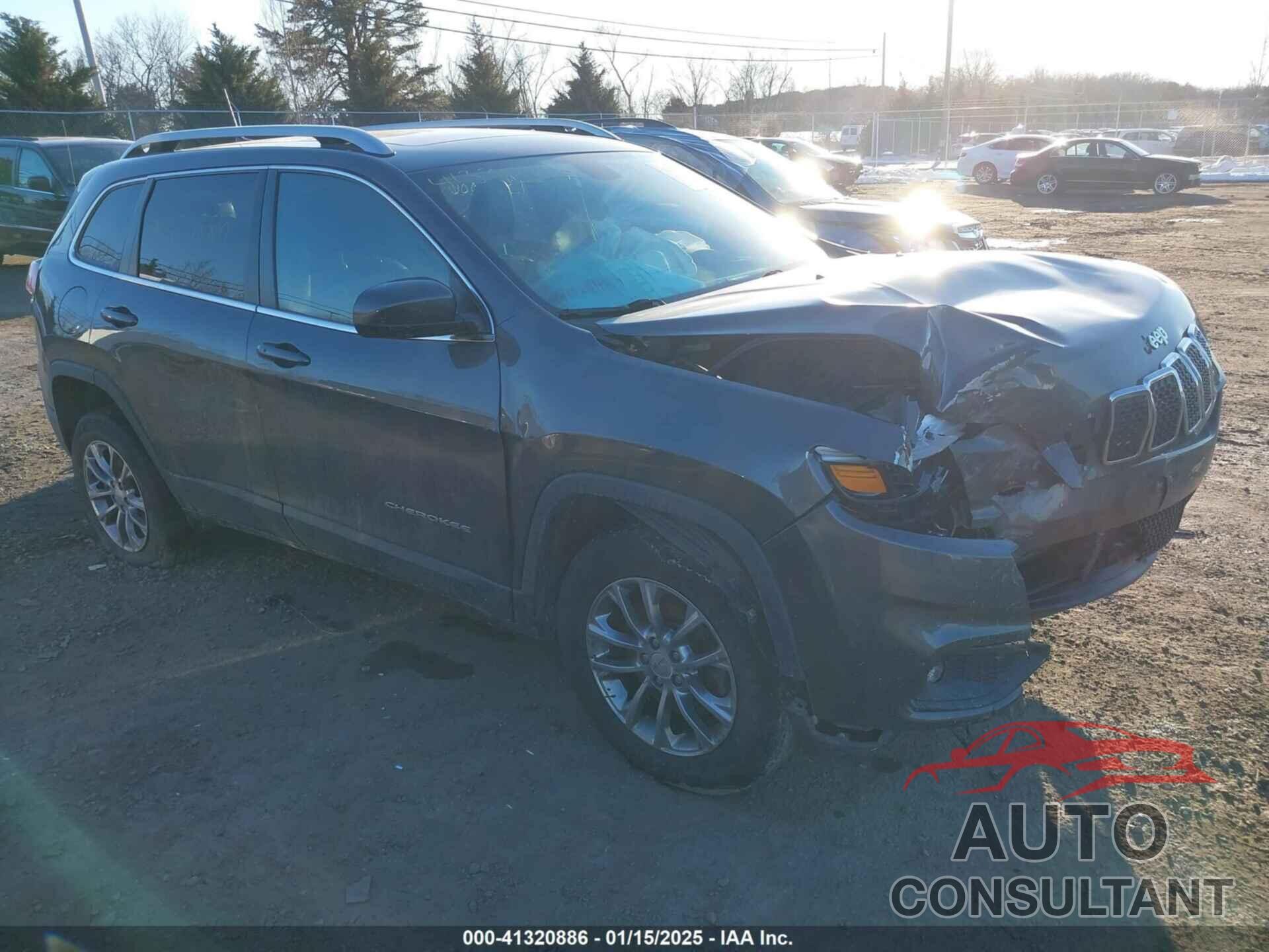 JEEP CHEROKEE 2019 - 1C4PJMLN0KD213357