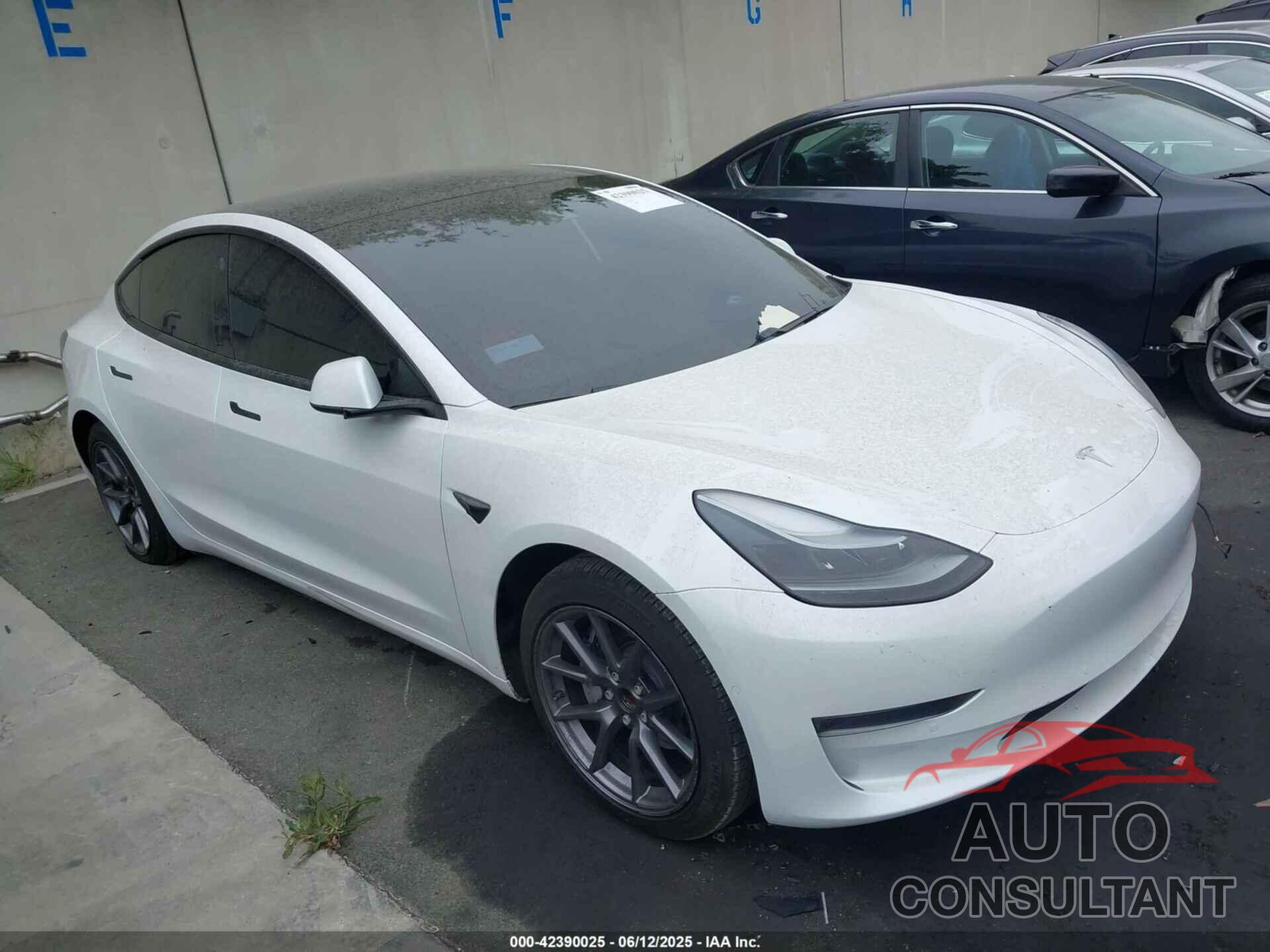 TESLA MODEL 3 2021 - 5YJ3E1EAXMF876961
