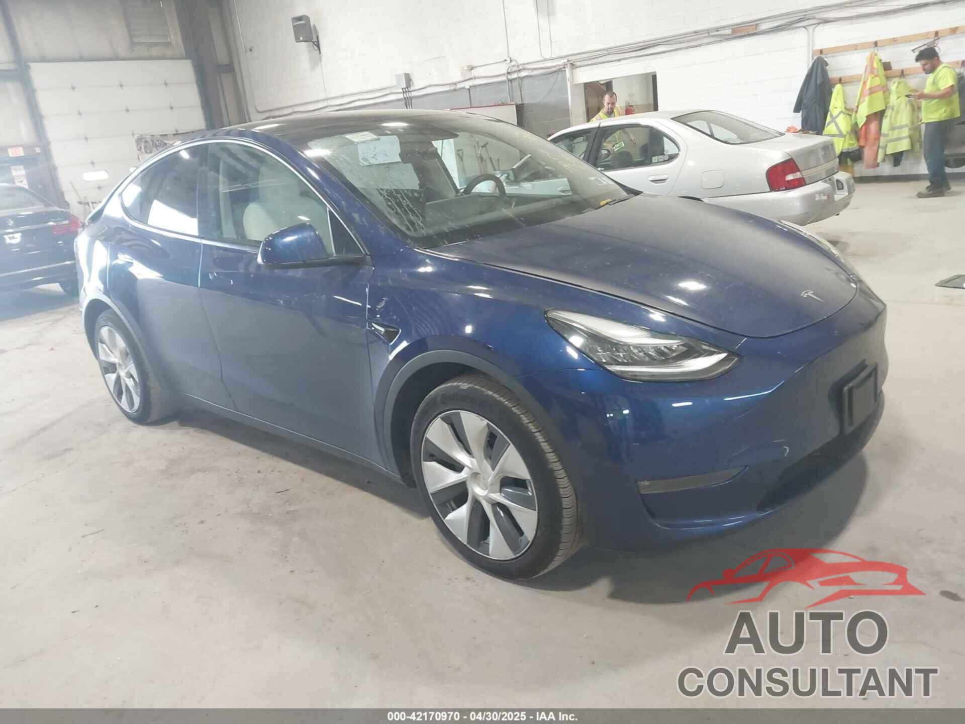 TESLA MODEL Y 2021 - 5YJYGDEE7MF066269