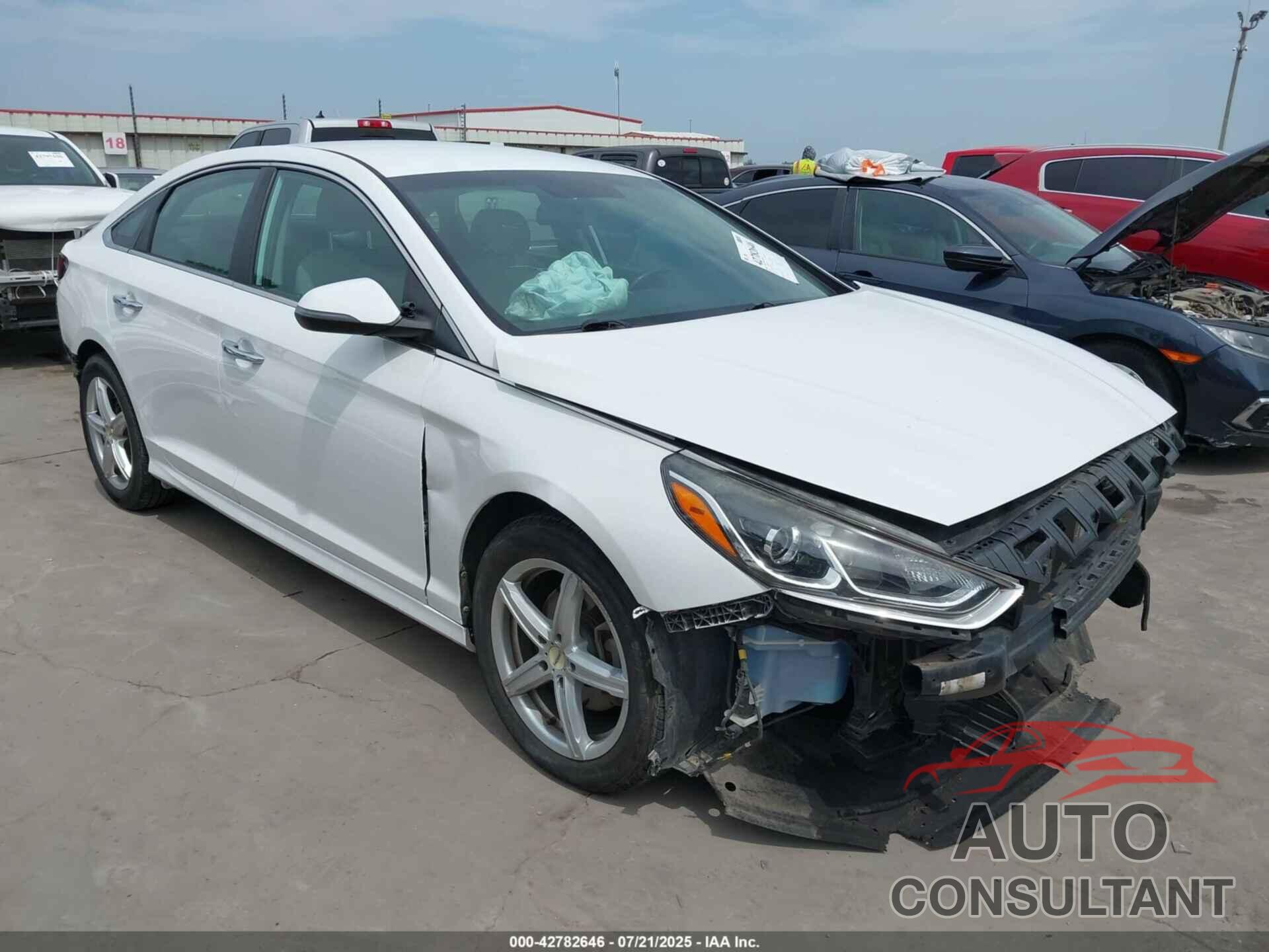 HYUNDAI SONATA 2019 - 5NPE34AF5KH781627