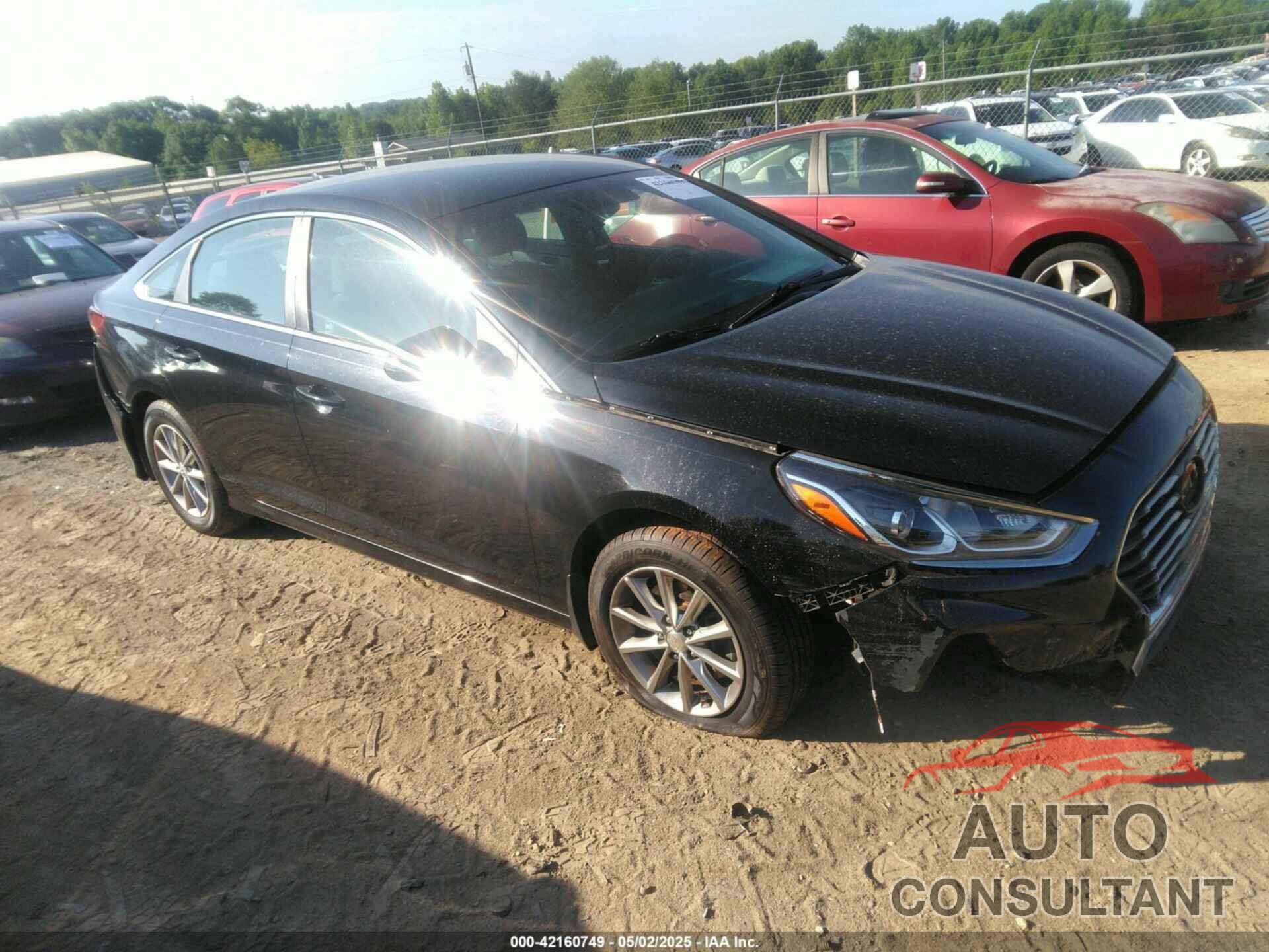 HYUNDAI SONATA 2019 - 5NPE24AF9KH749086