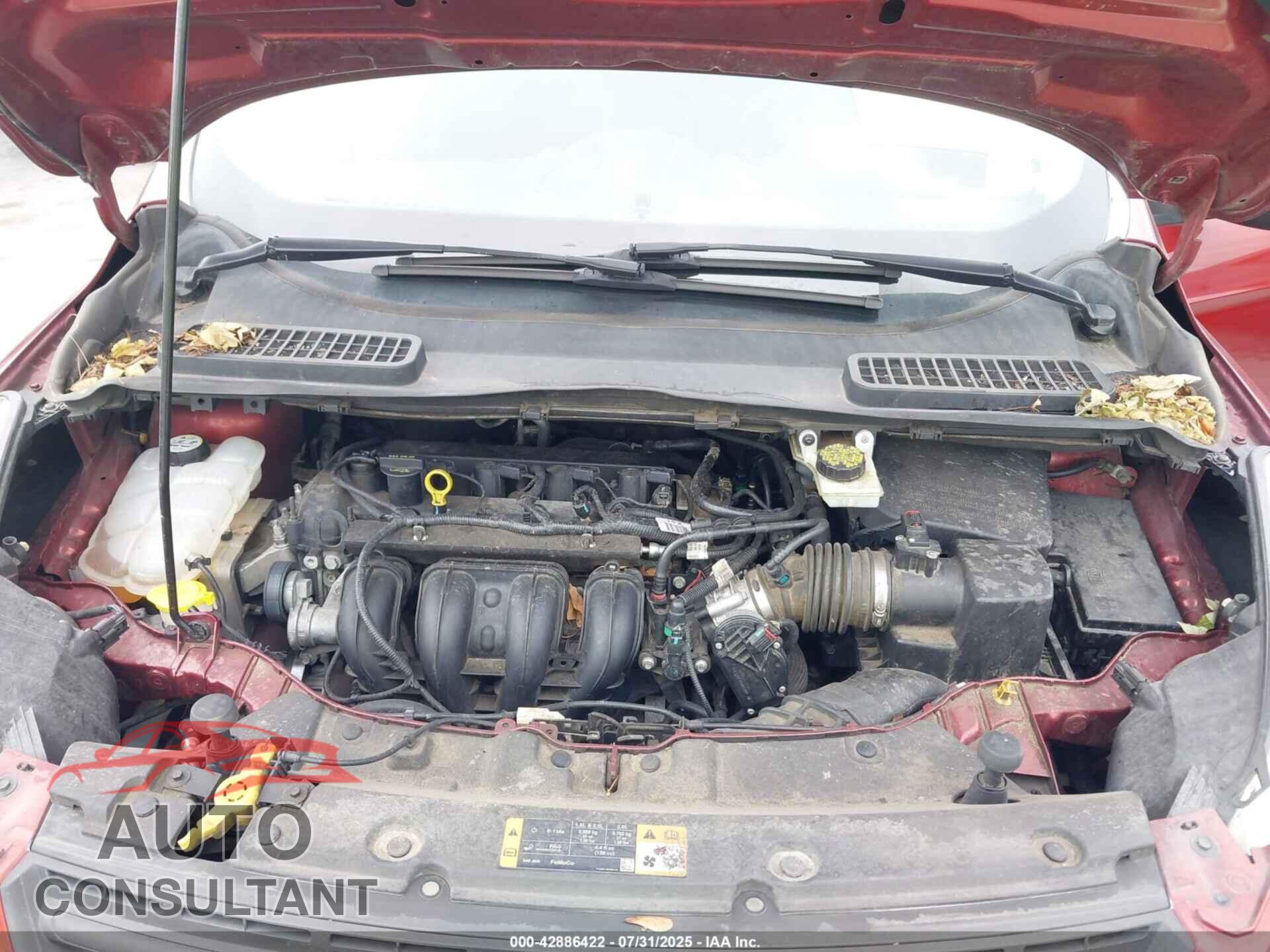 FORD ESCAPE 2014 - 1FMCU0F73EUB48726