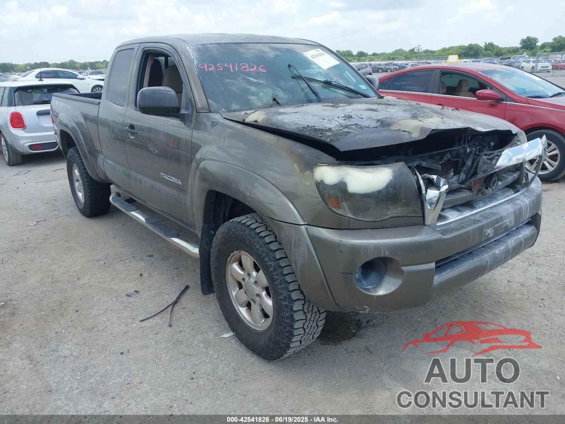 TOYOTA TACOMA 2009 - 5TETX62N59Z636060