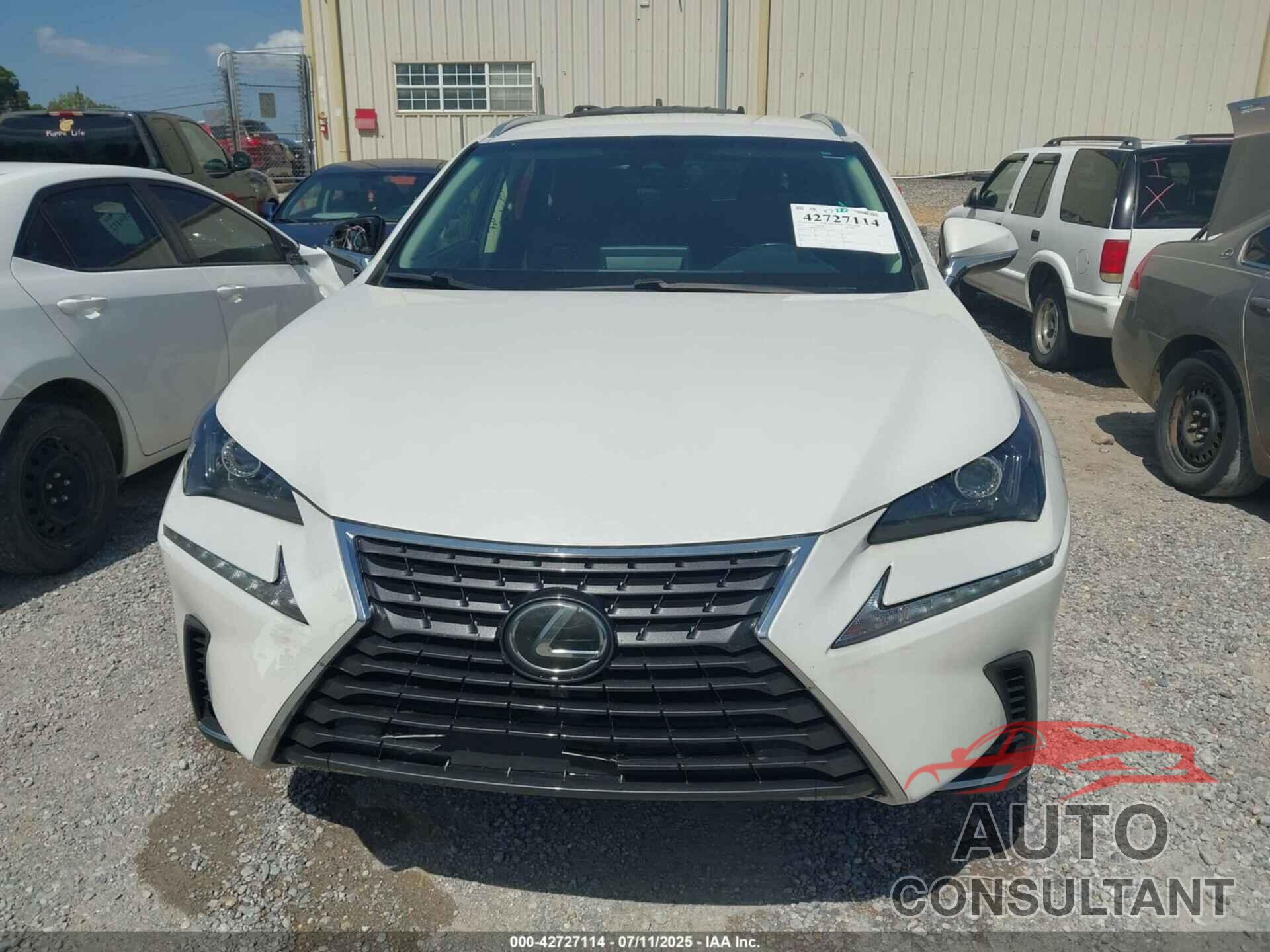 LEXUS NX 300 2019 - JTJYARBZ2K2156304