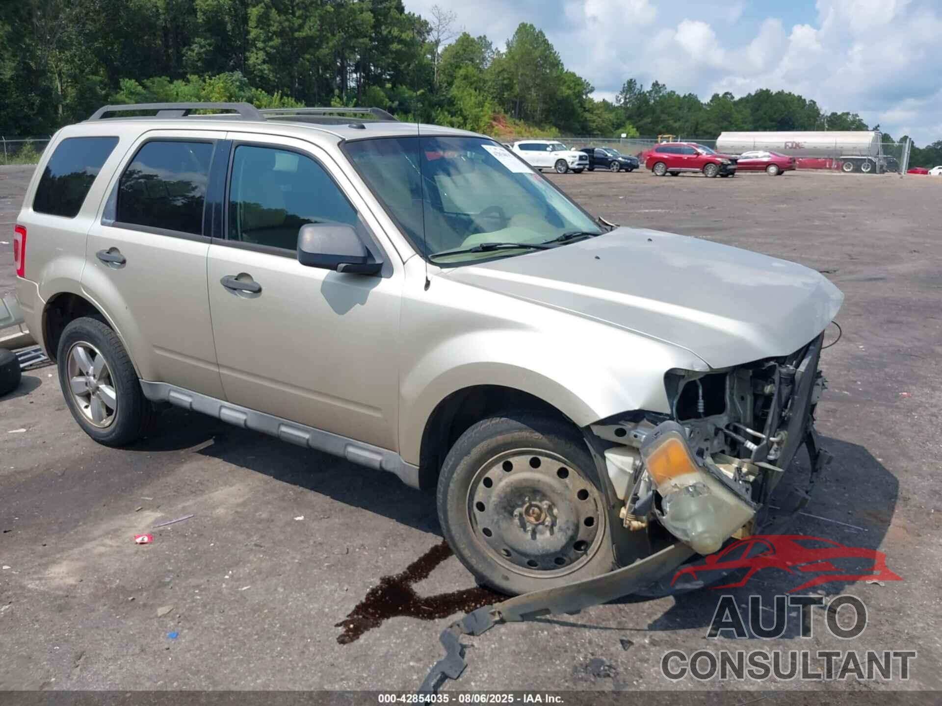 FORD ESCAPE 2010 - 1FMCU0DG4AKD09609